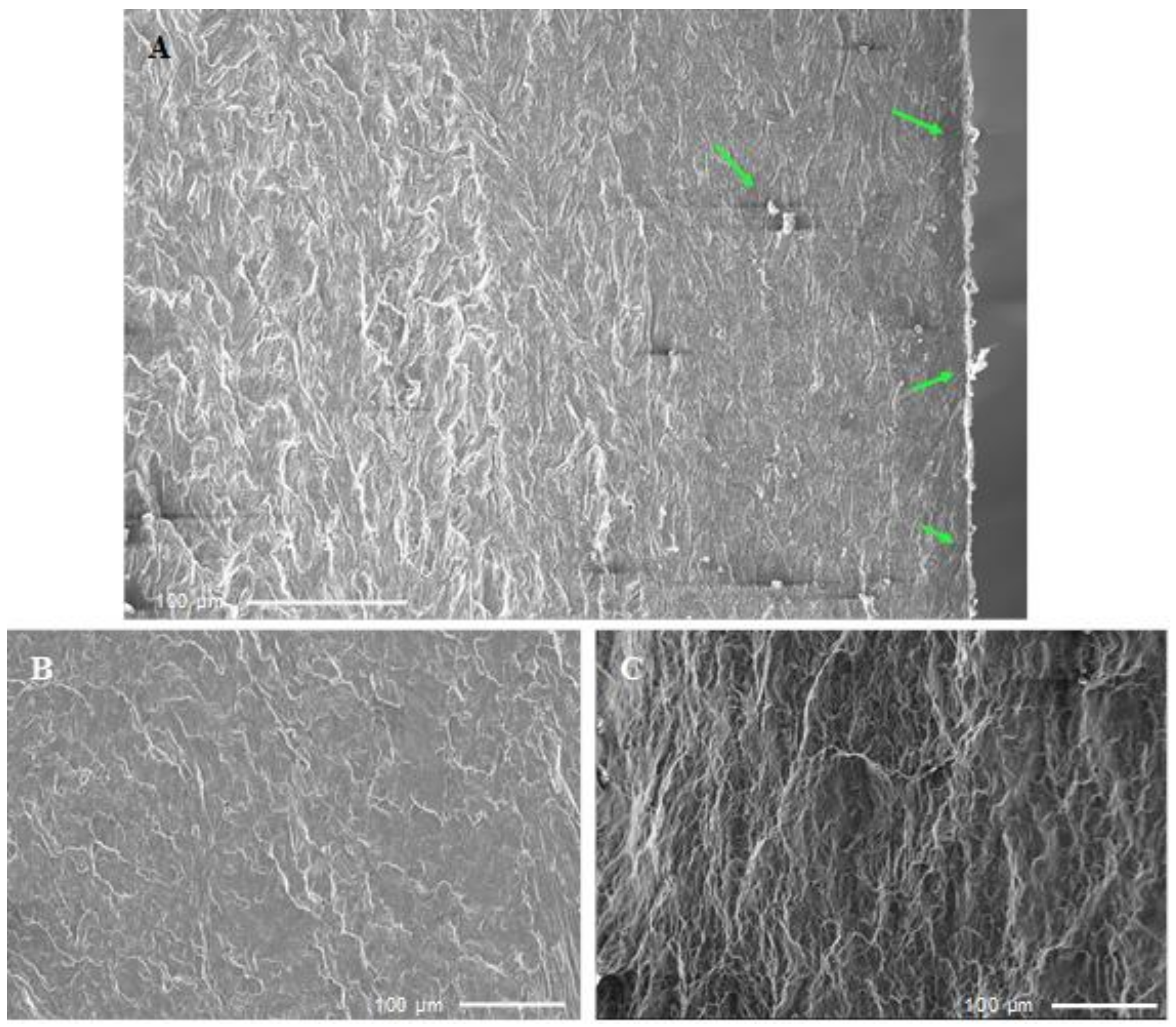 Metals 11 01573 g011