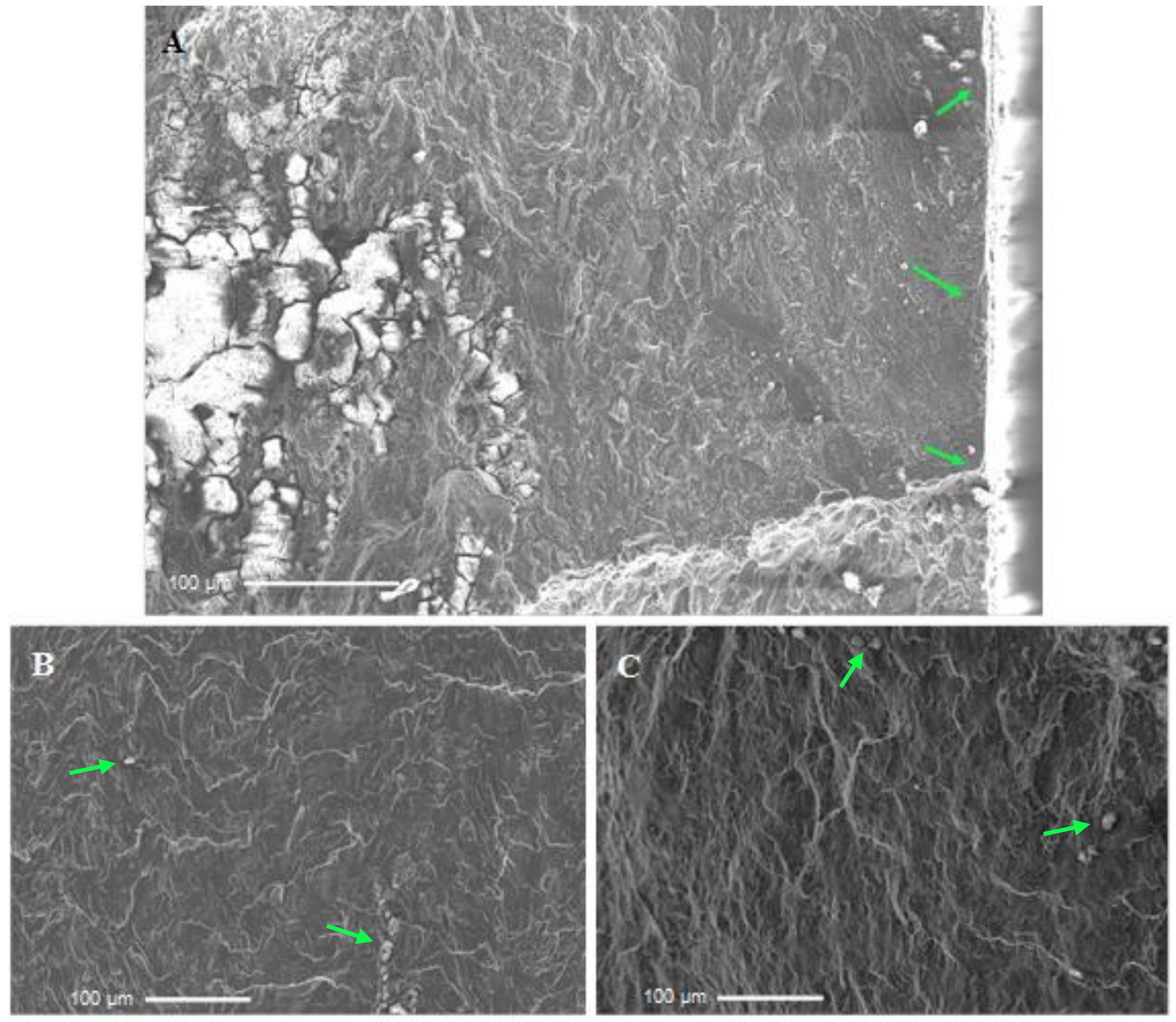 Metals 11 01573 g012