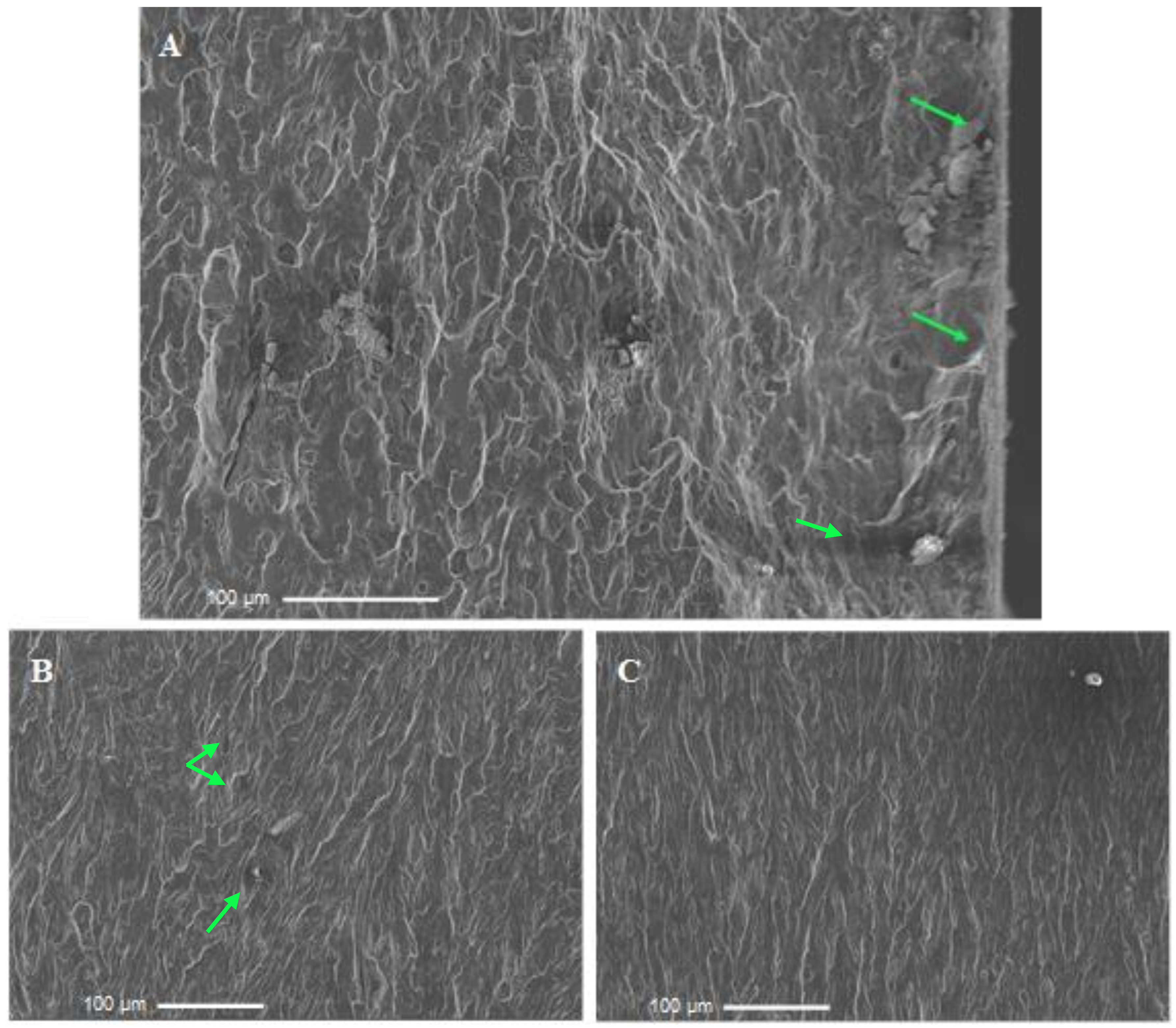 Metals 11 01573 g013