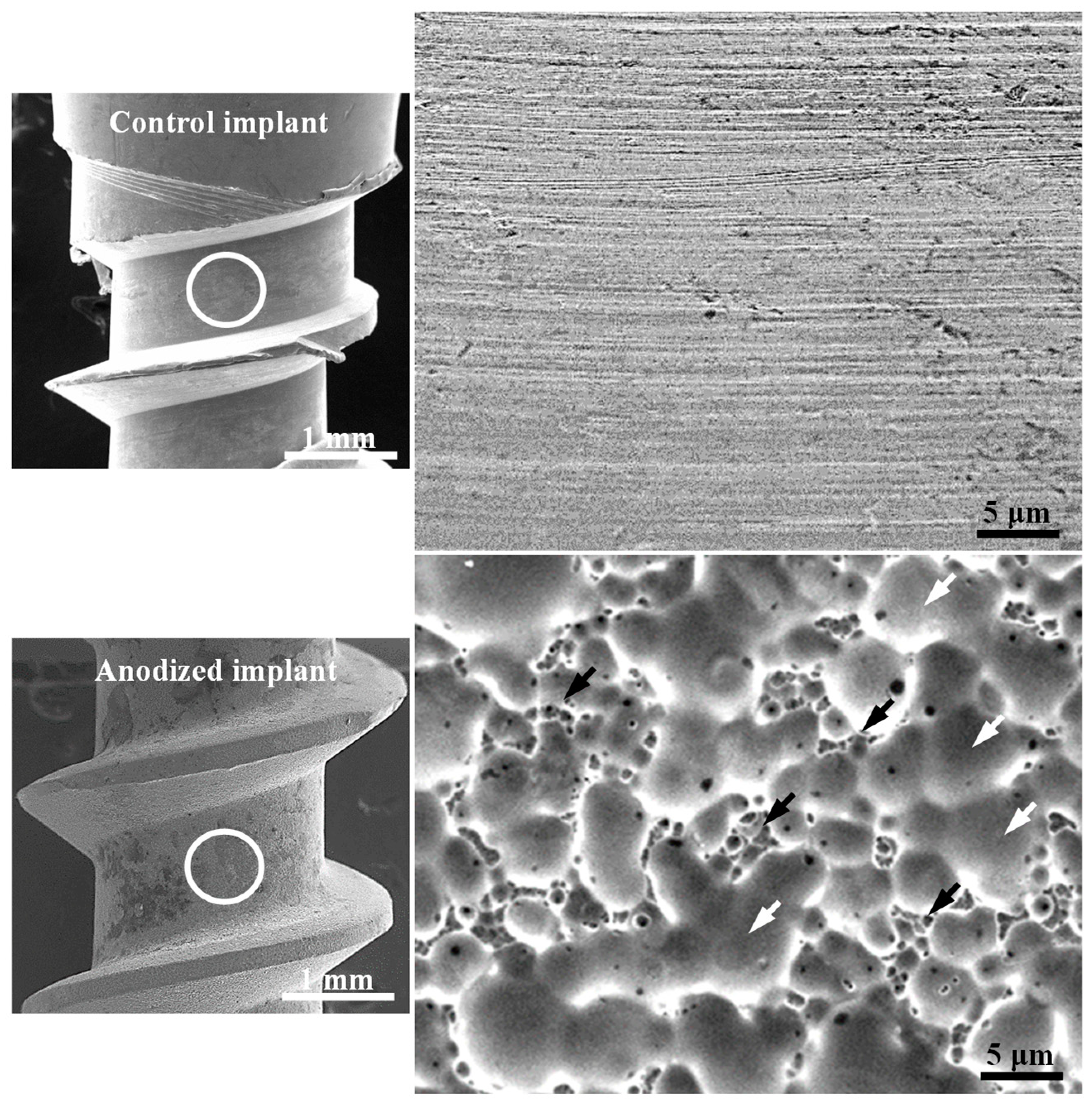 Metals 11 01575 g004