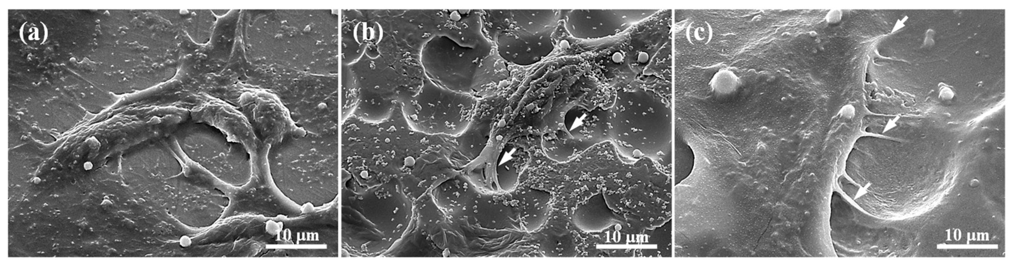 Metals 11 01575 g005