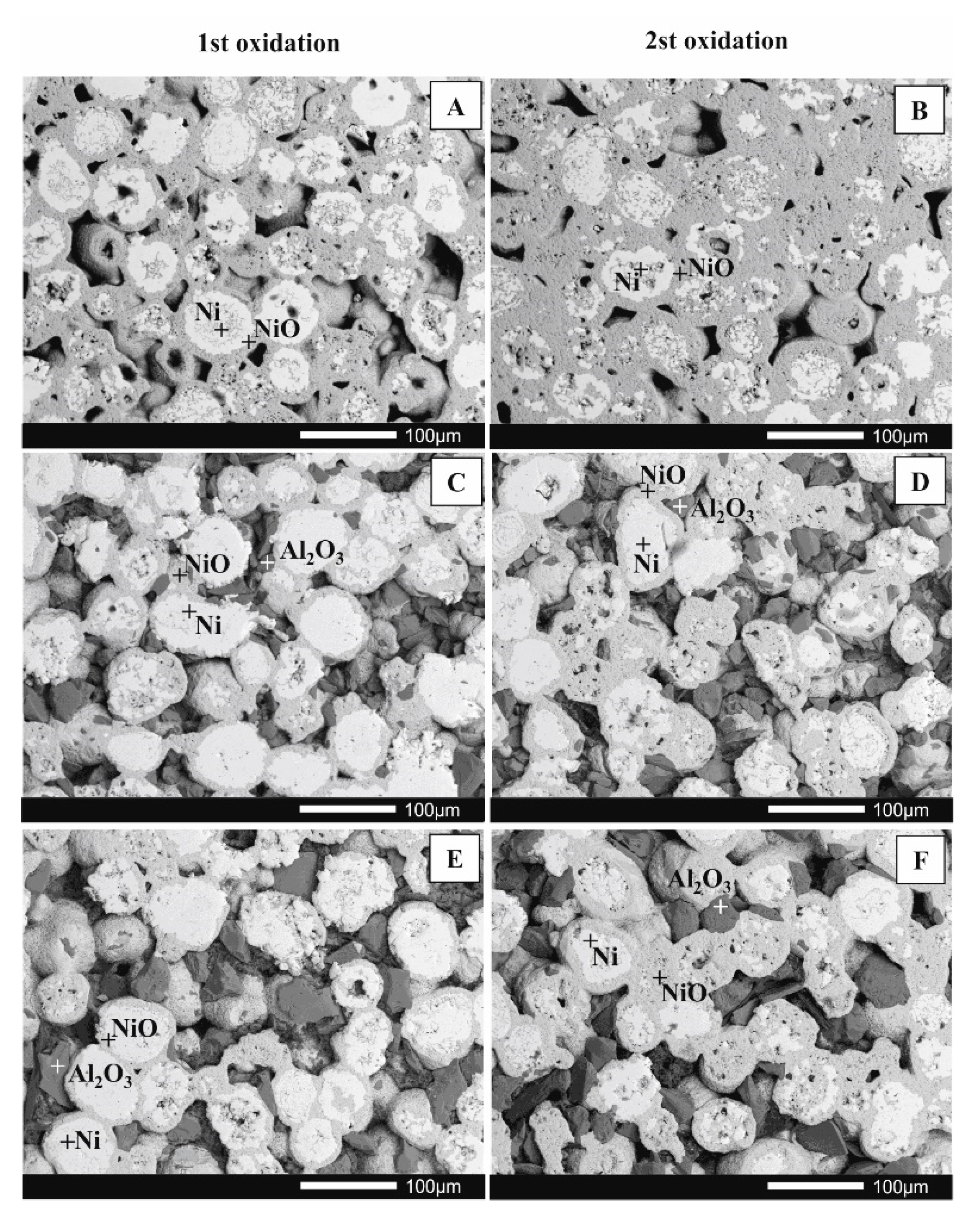 Metals 11 01582 g007