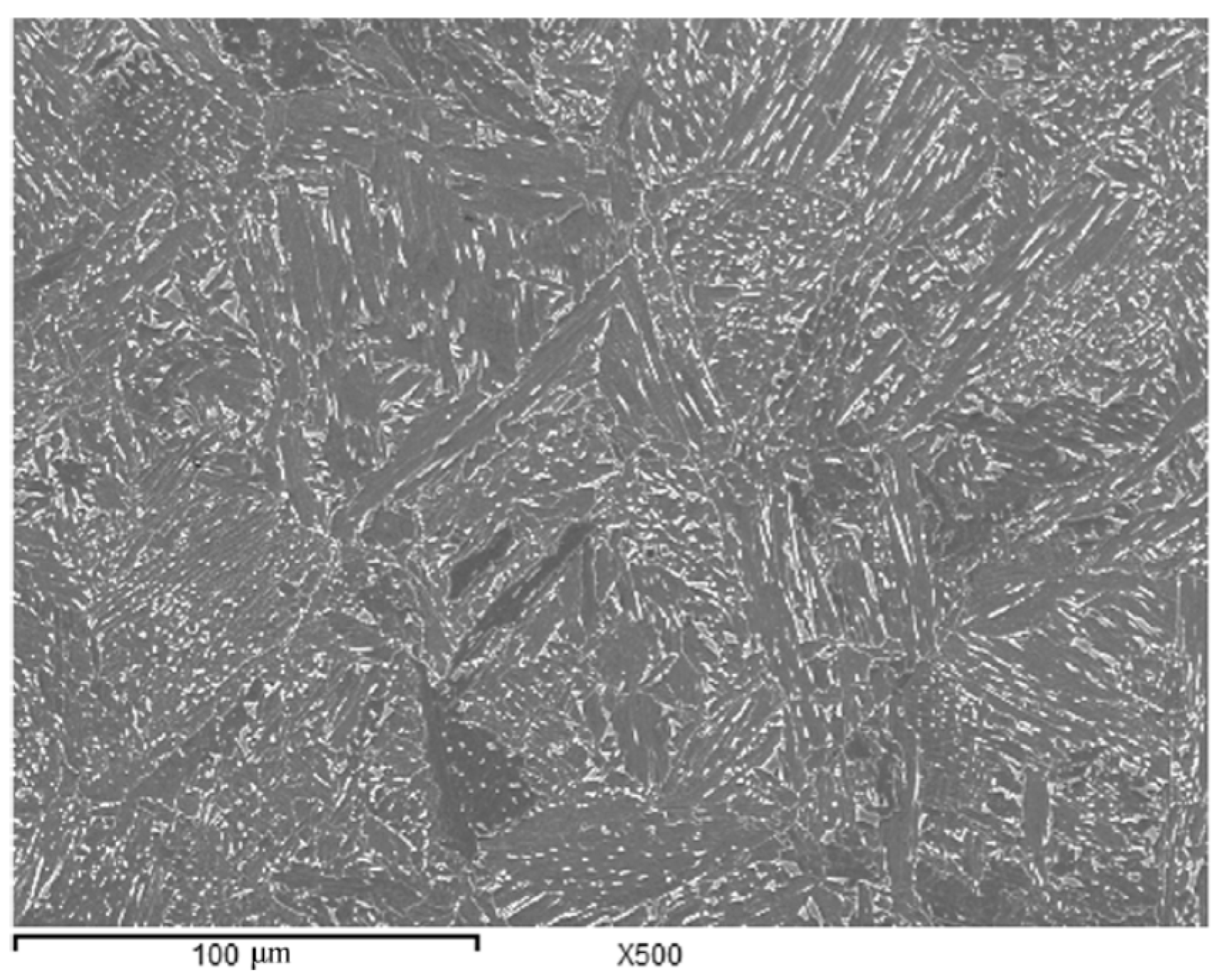 Metals 11 01584 g001