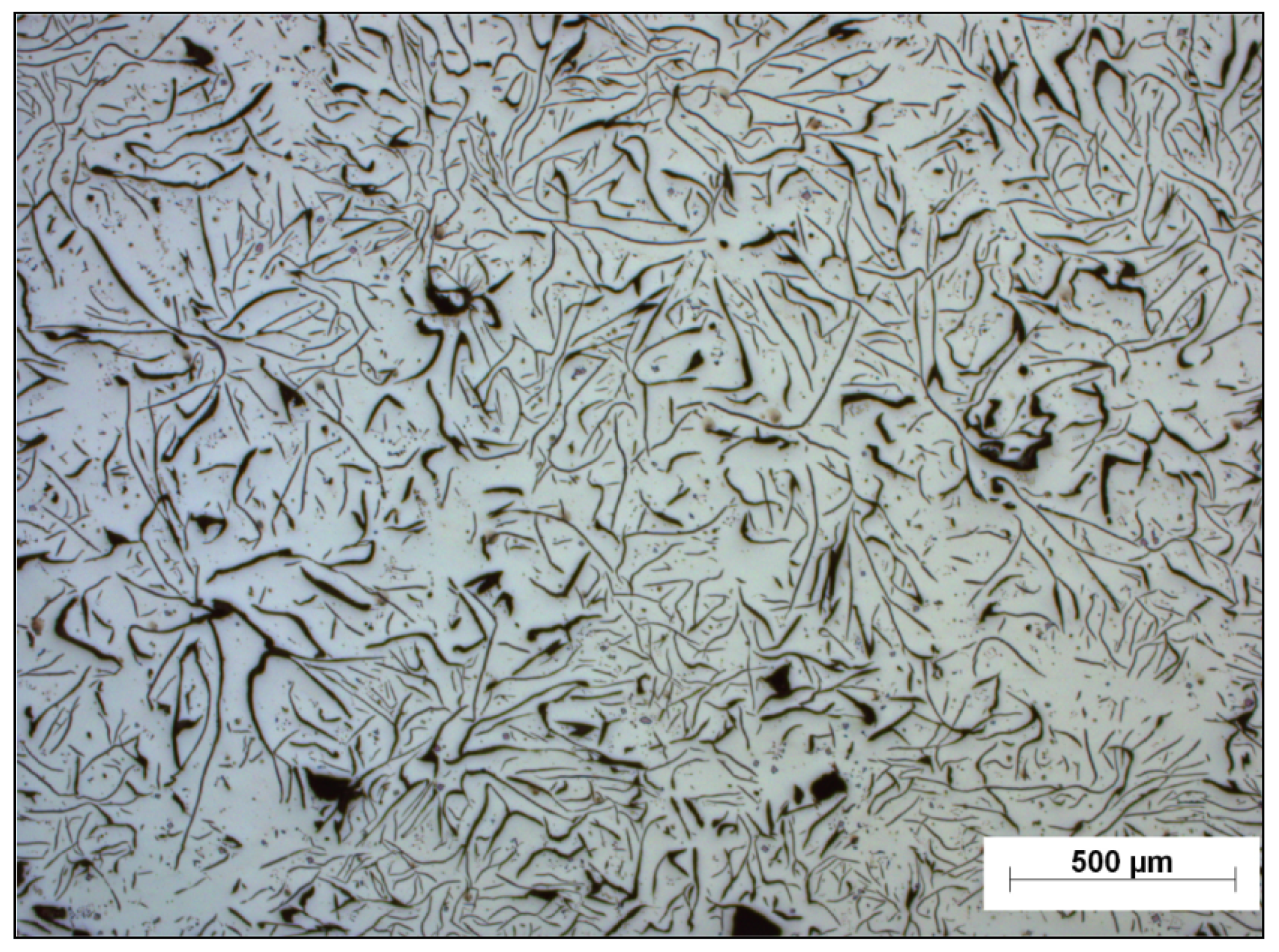 Metals 11 01588 g003