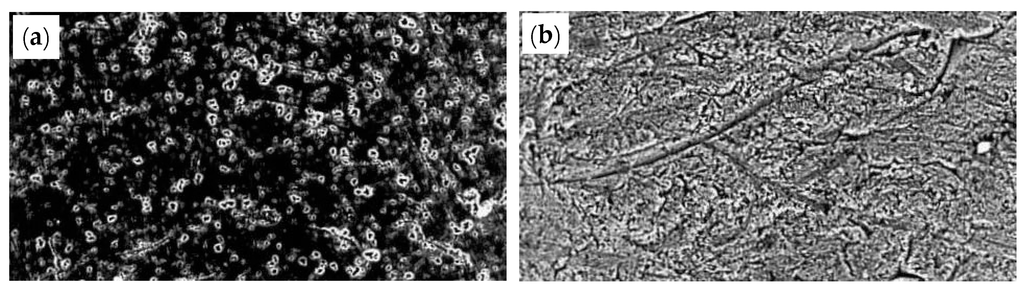 Metals 11 01590 g035