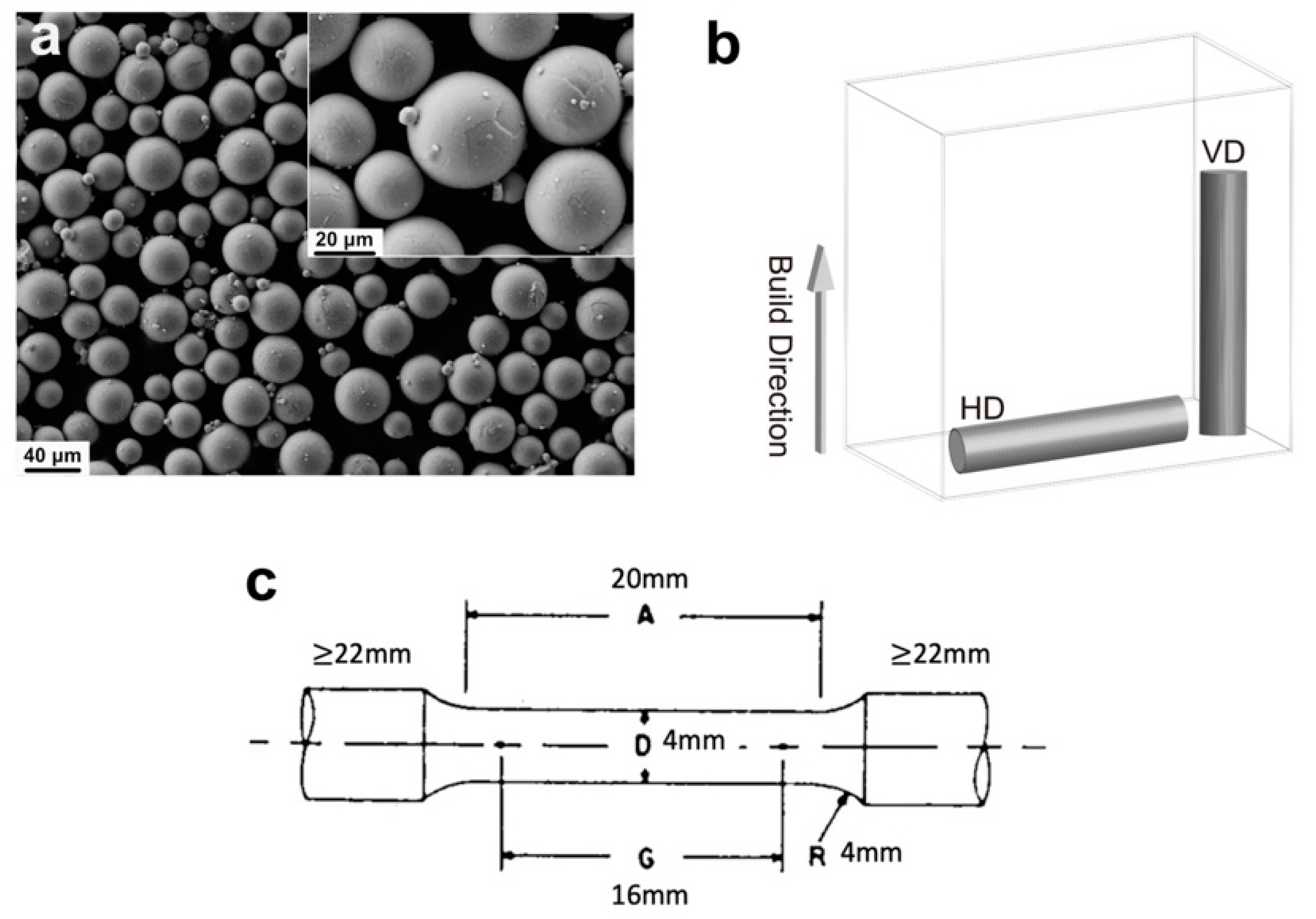 Metals 11 01593 g001