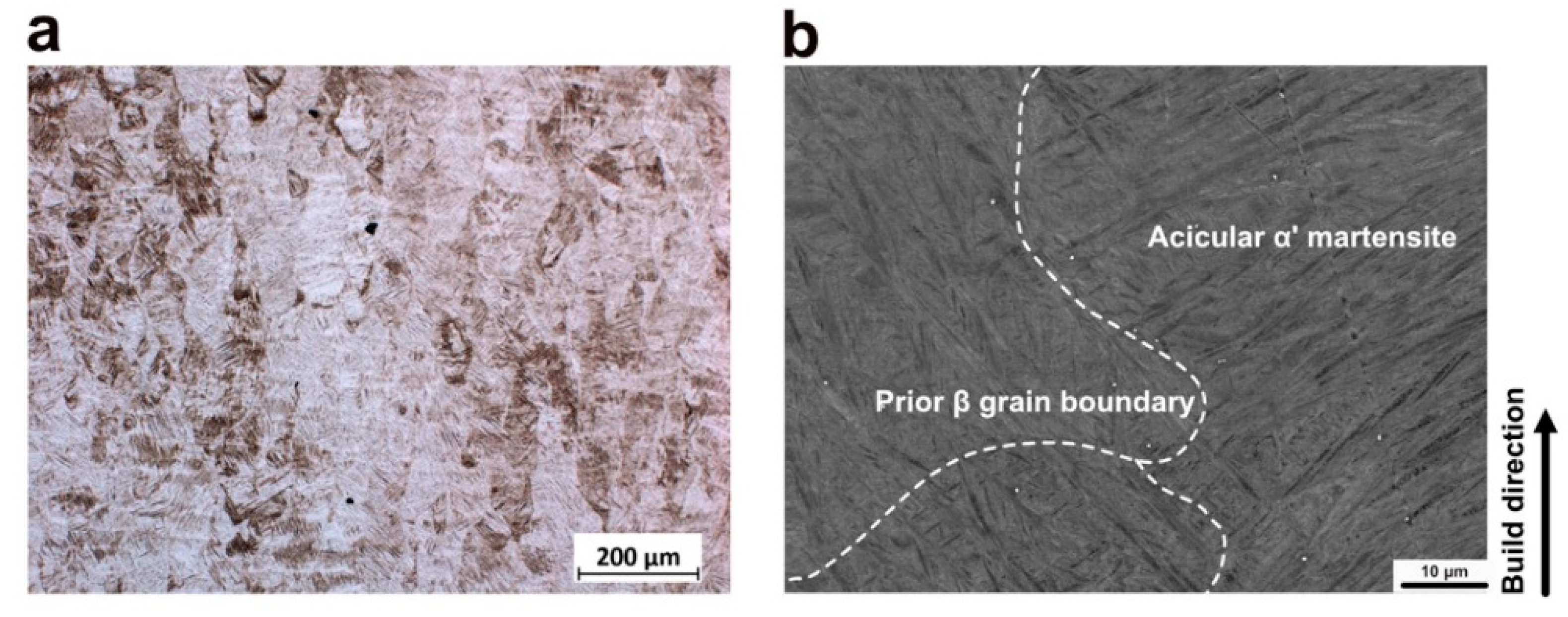 Metals 11 01593 g003