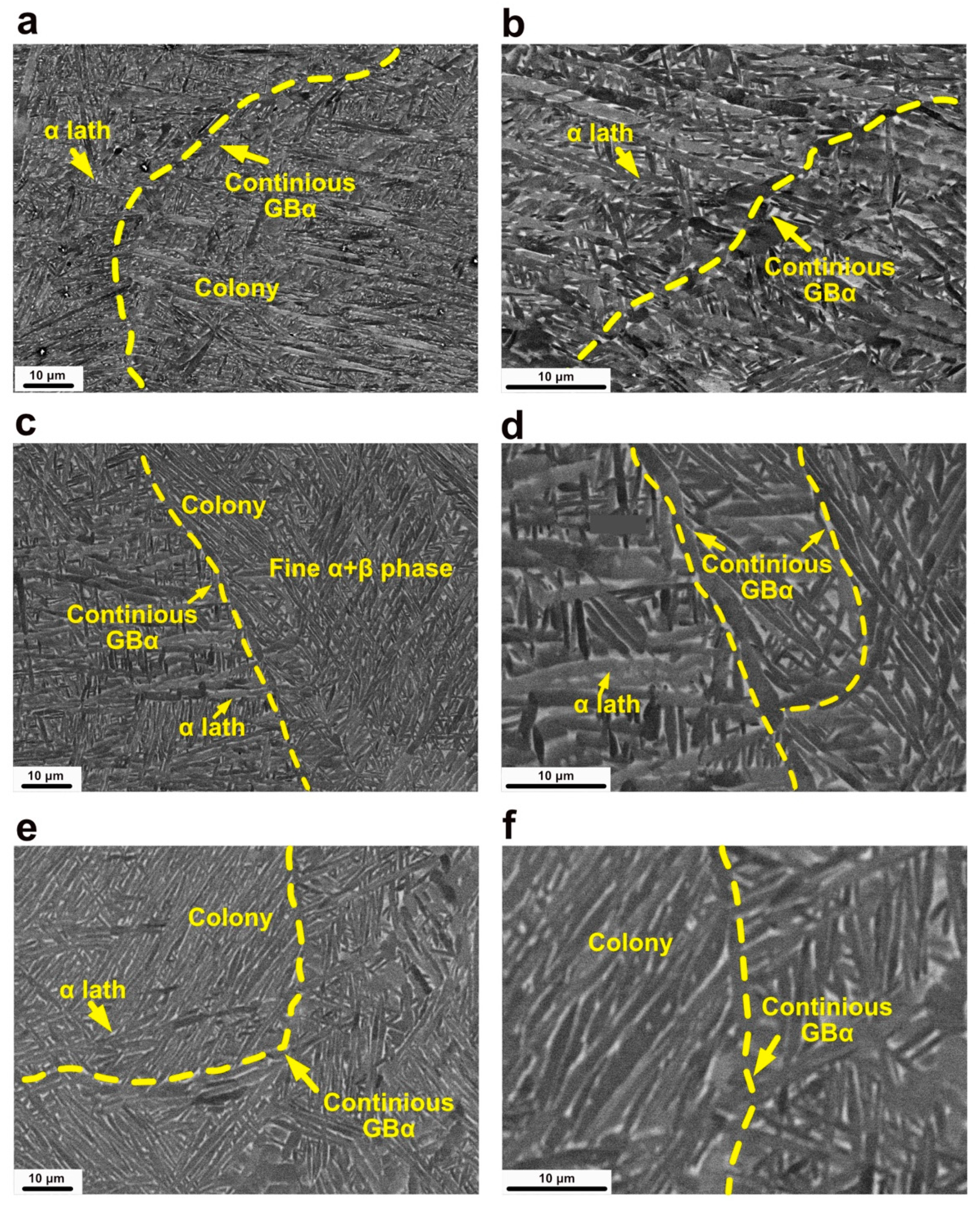 Metals 11 01593 g008