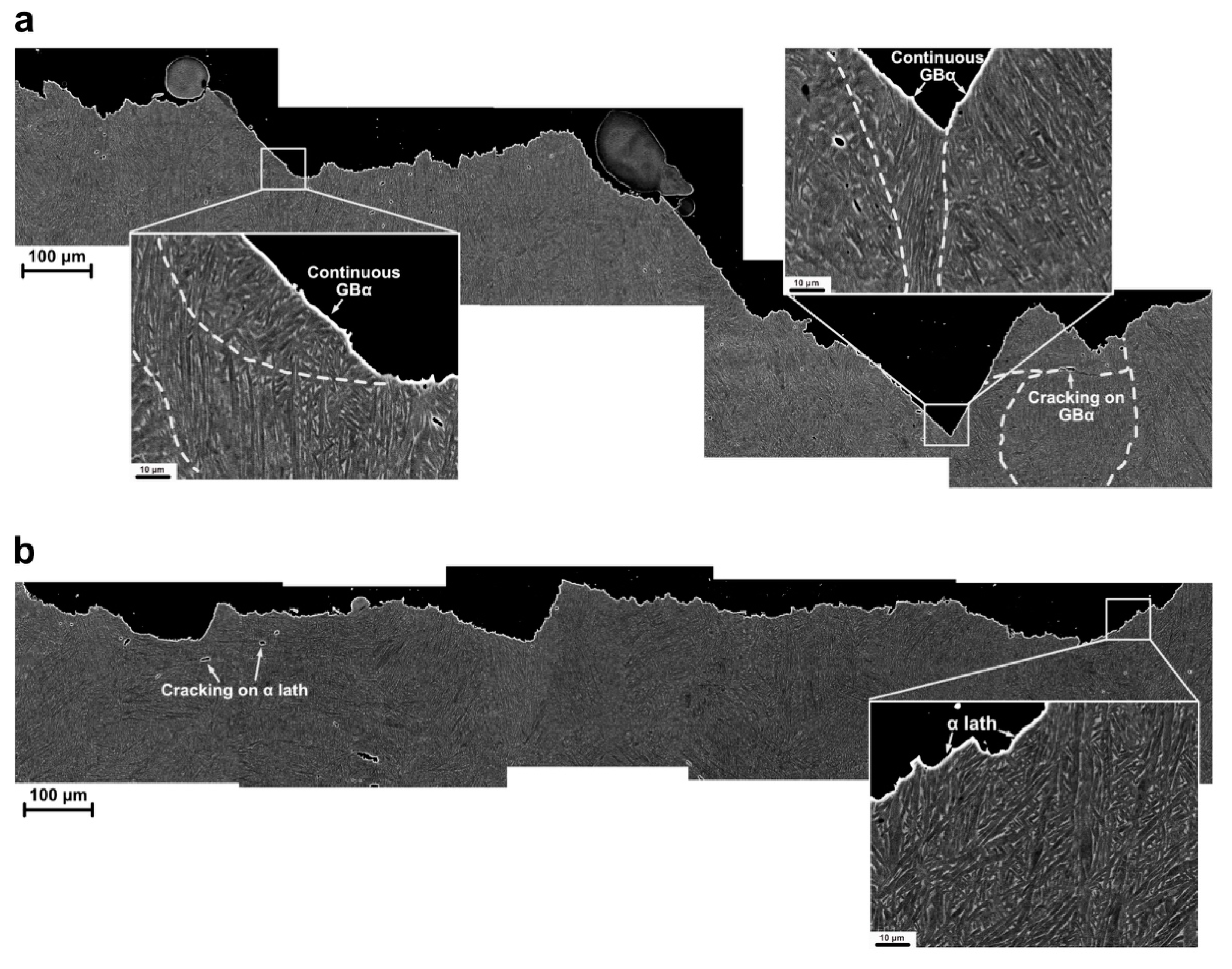 Metals 11 01593 g011