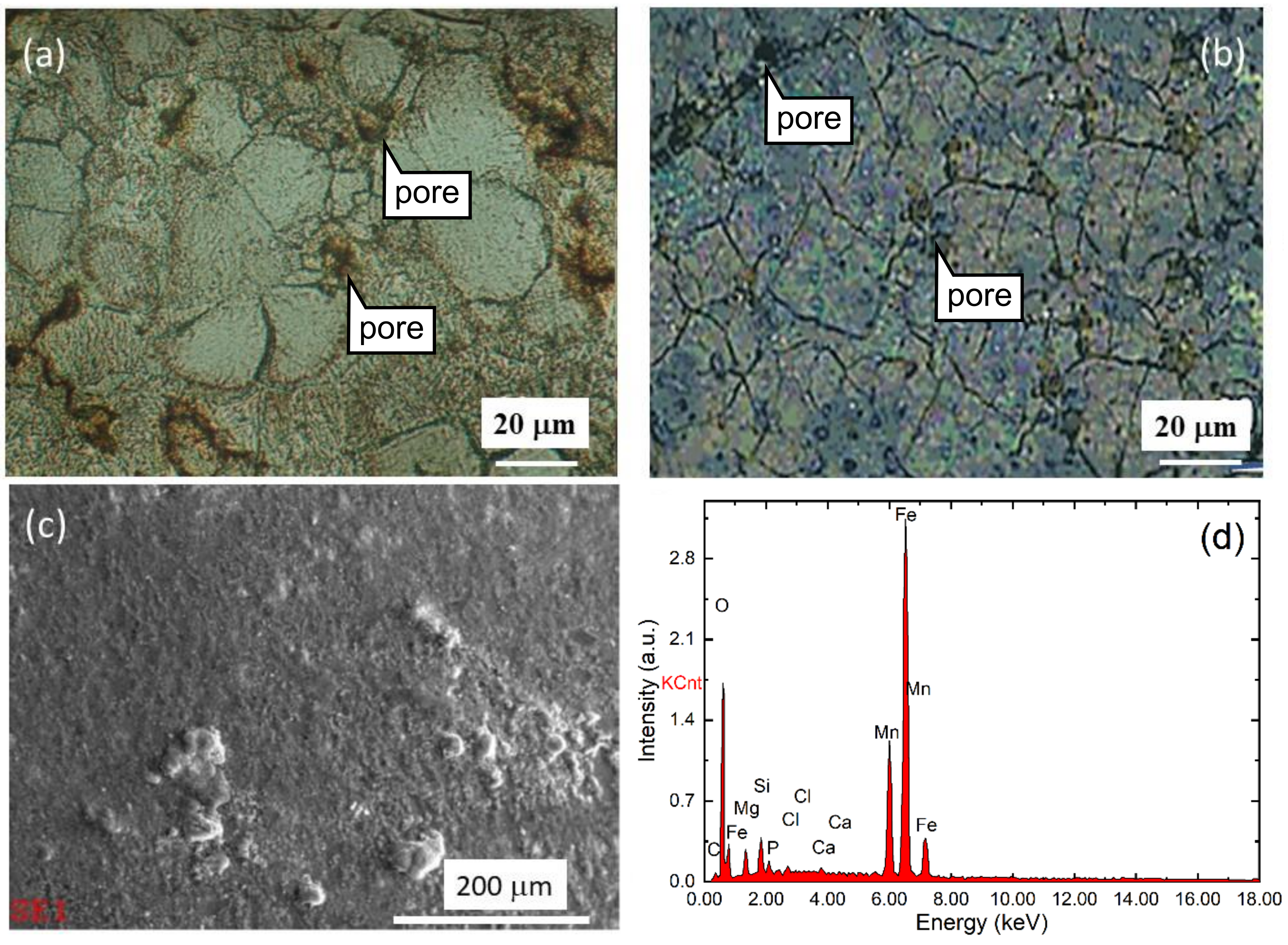 Metals 11 01597 g001