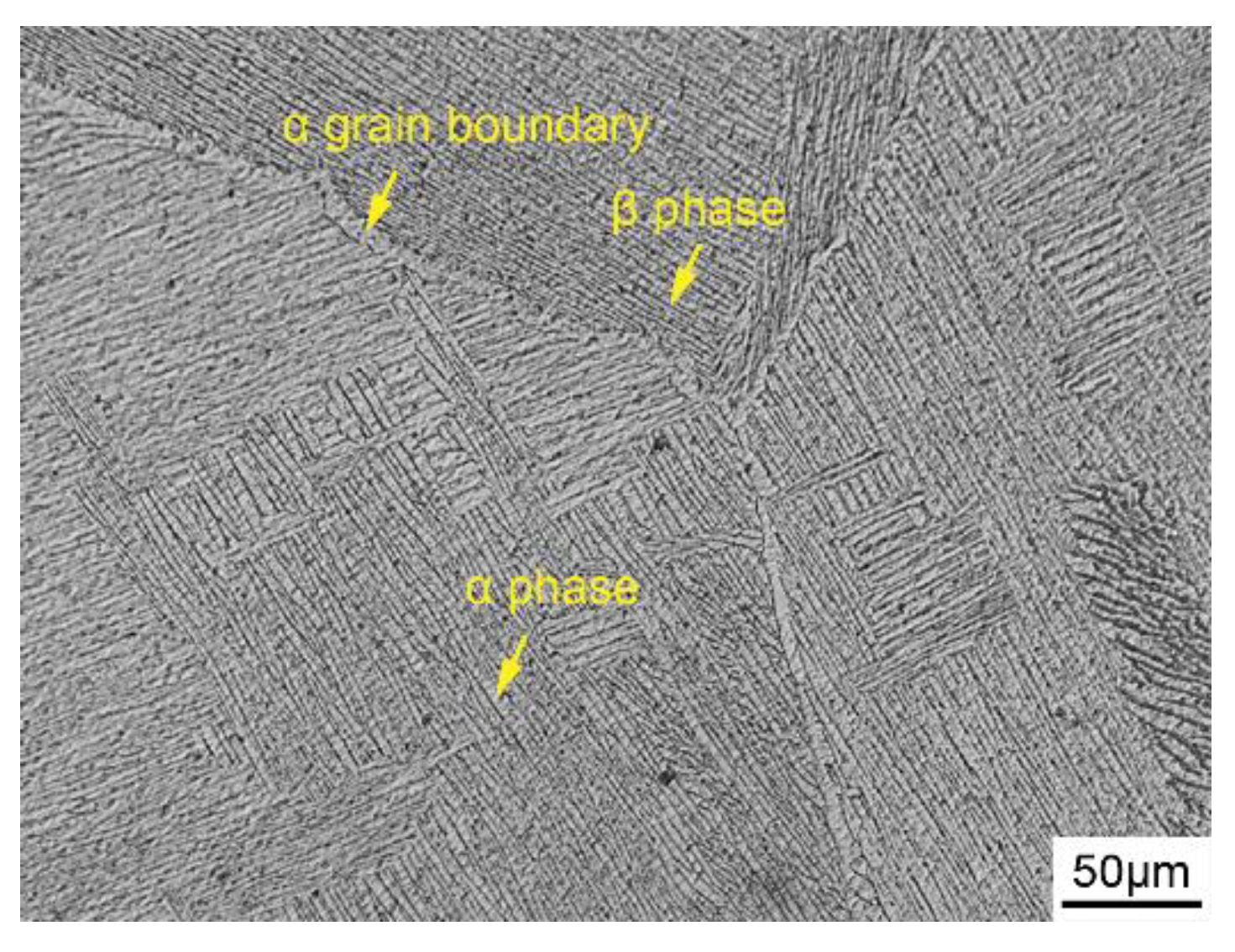 Metals 11 01598 g001 Metals 11 01598 g001