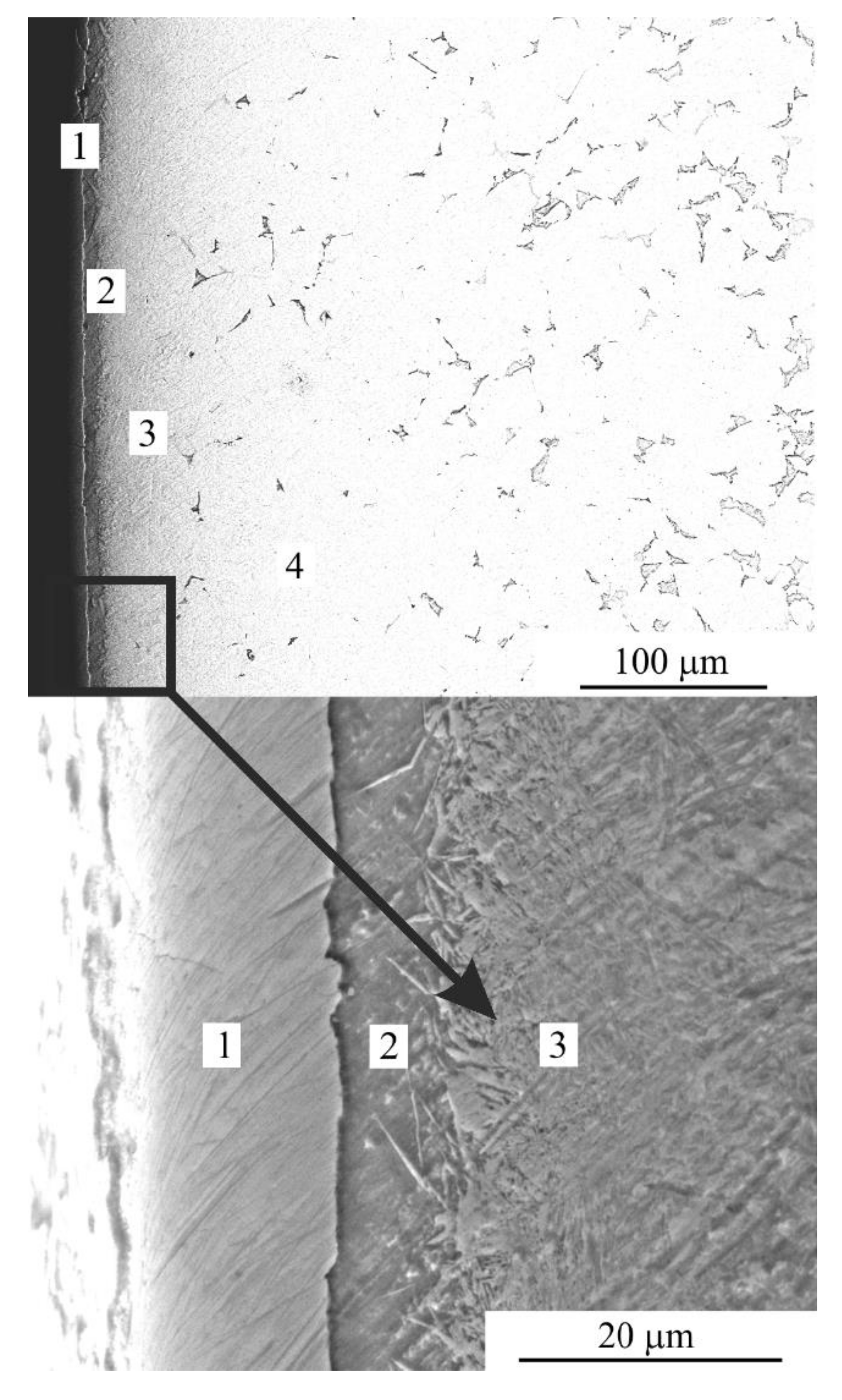 Metals 11 01599 g004