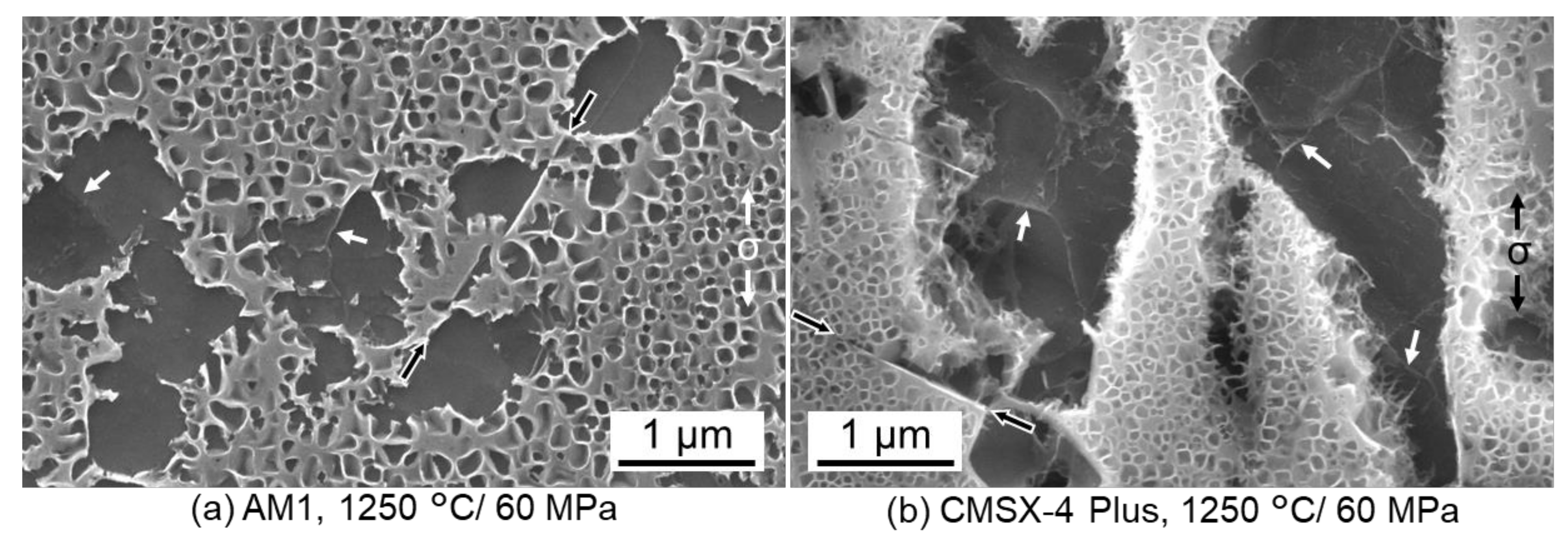 Metals 11 01610 g009 Metals 11 01610 g009