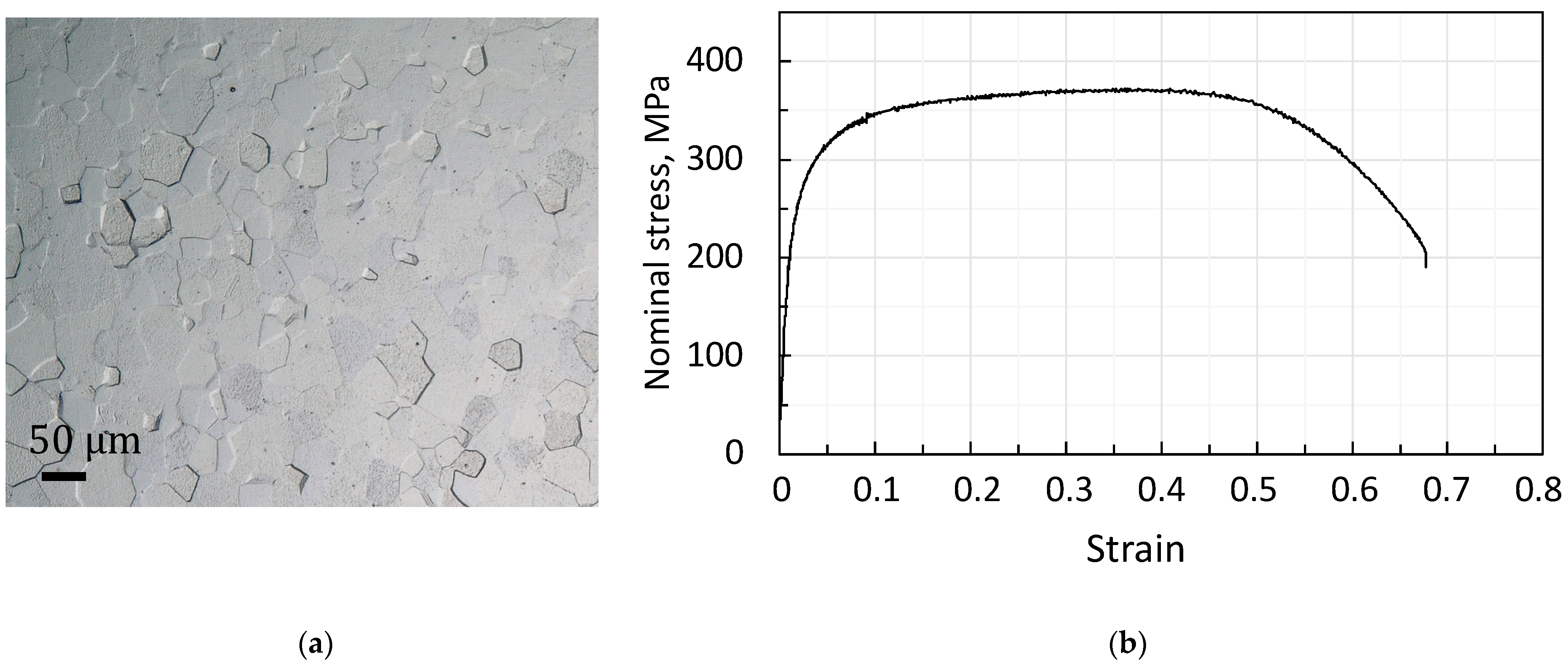 Metals 11 01656 g002