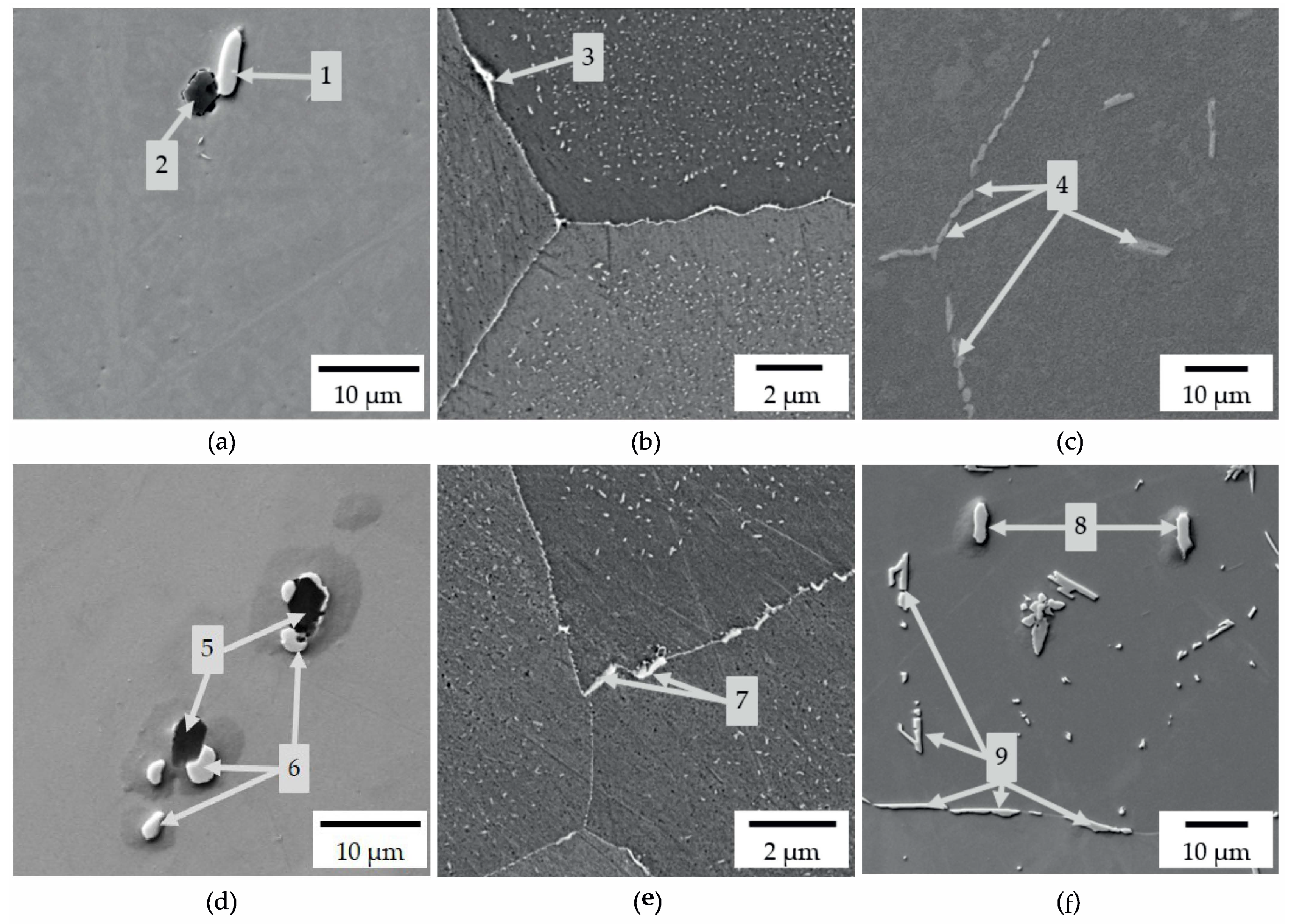 Metals 11 01693 g003