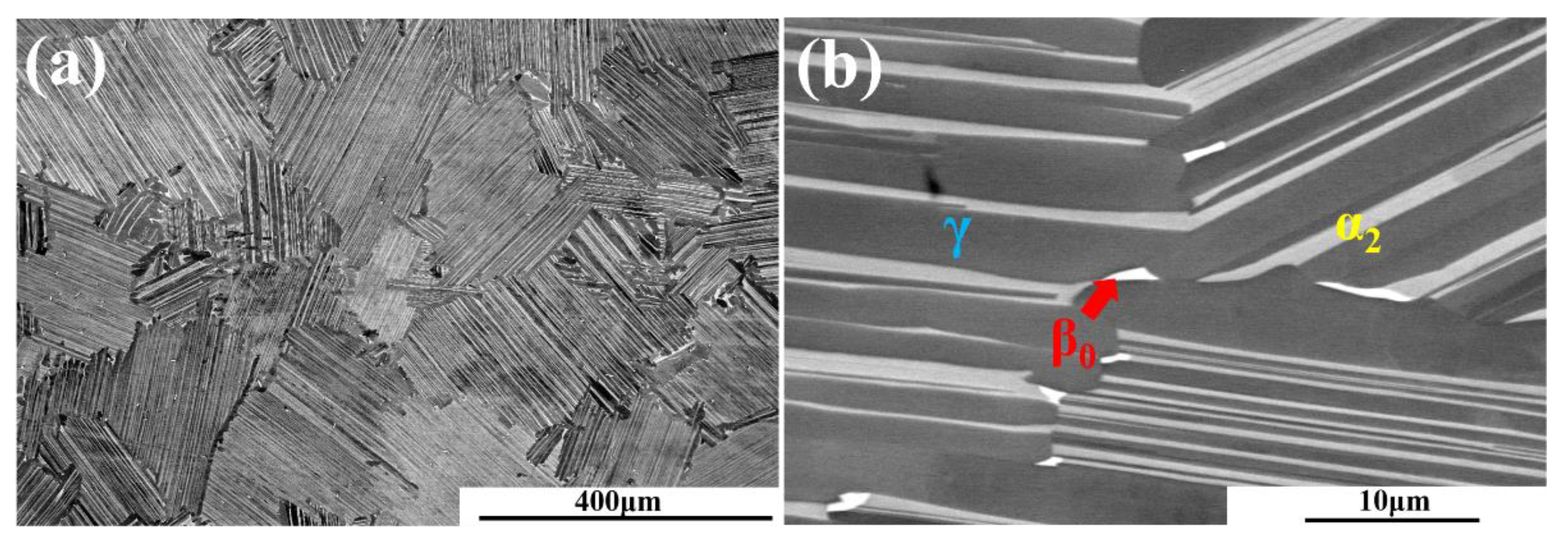 Metals 11 01720 g001