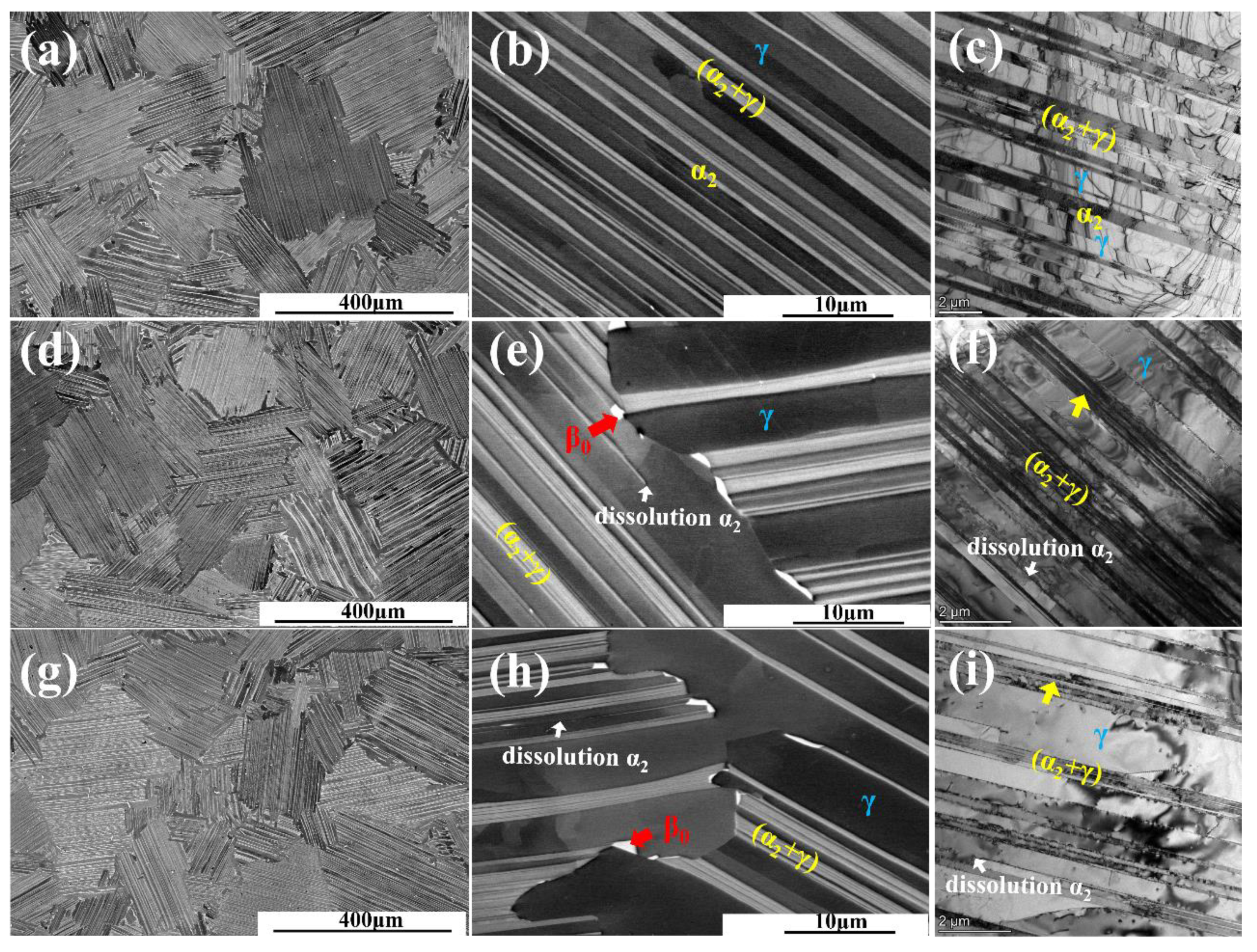 Metals 11 01720 g002