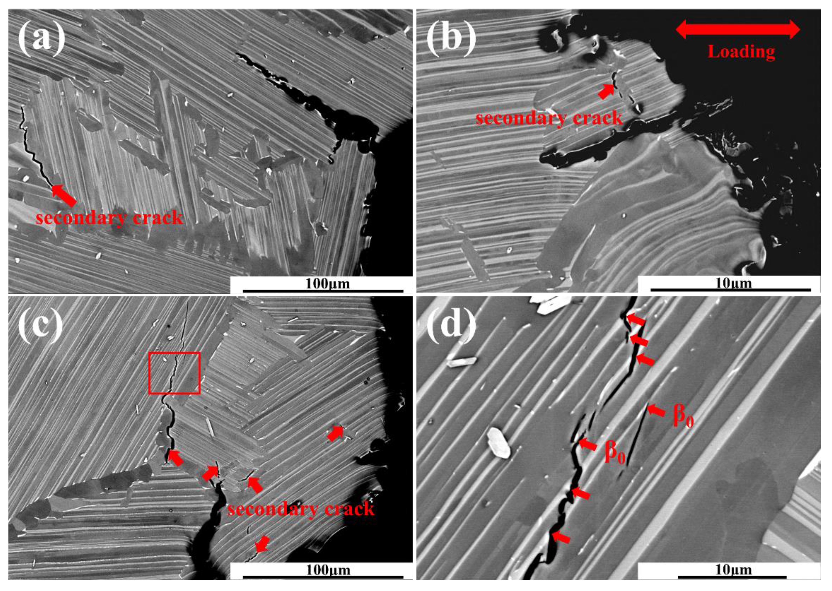Metals 11 01720 g007