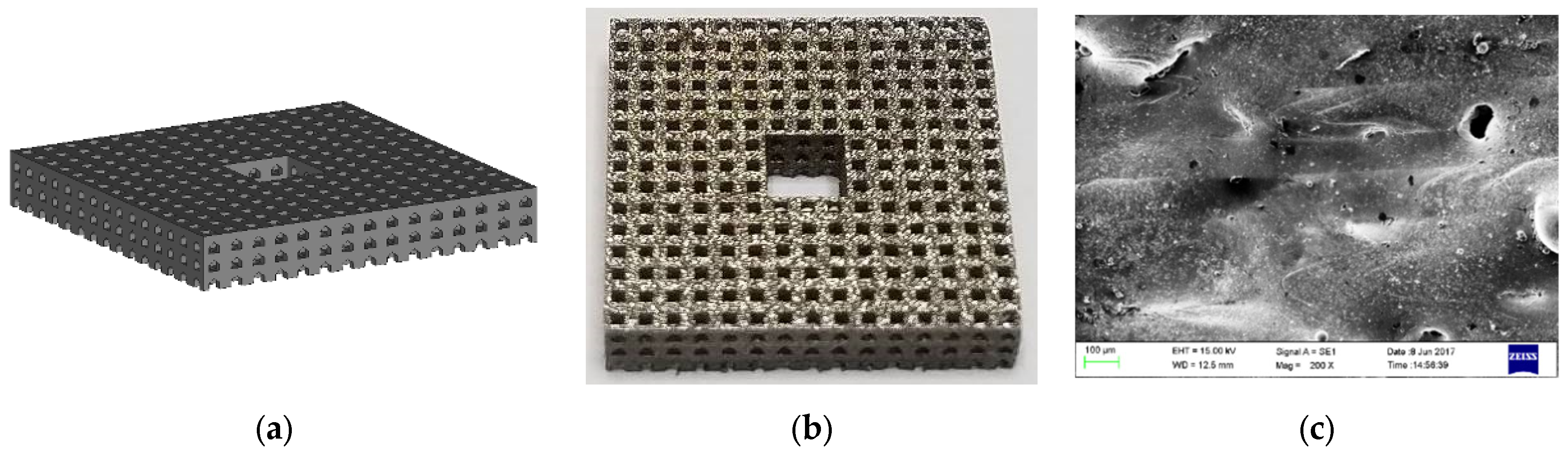 Metals 11 01731 g010