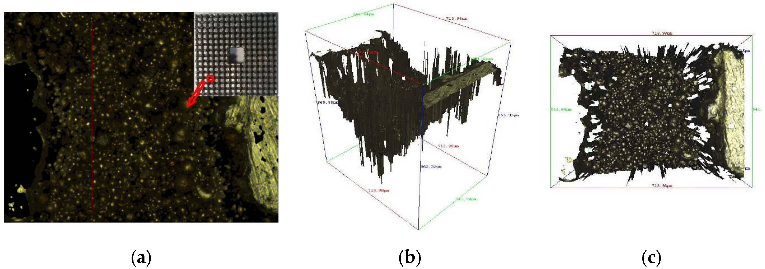Metals 11 01731 g011