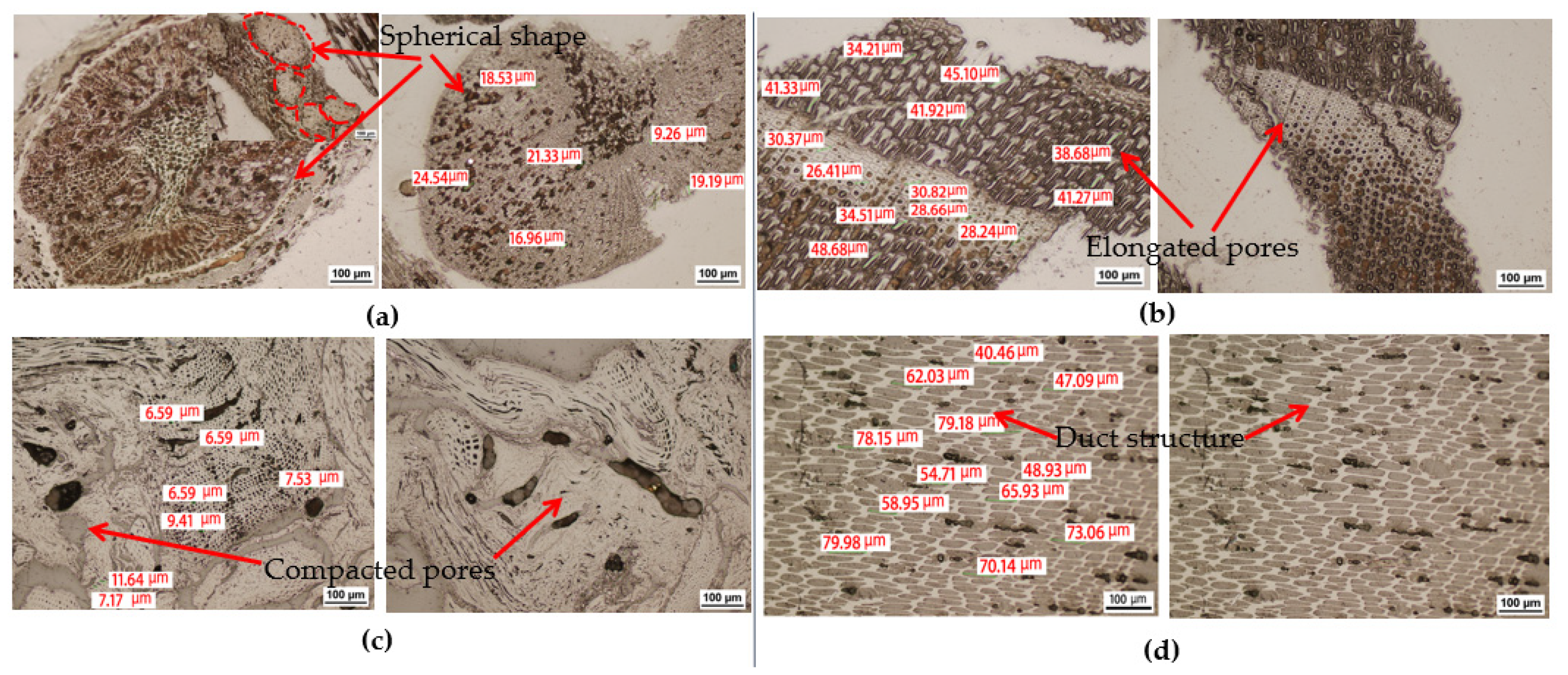 Metals 11 01752 g004