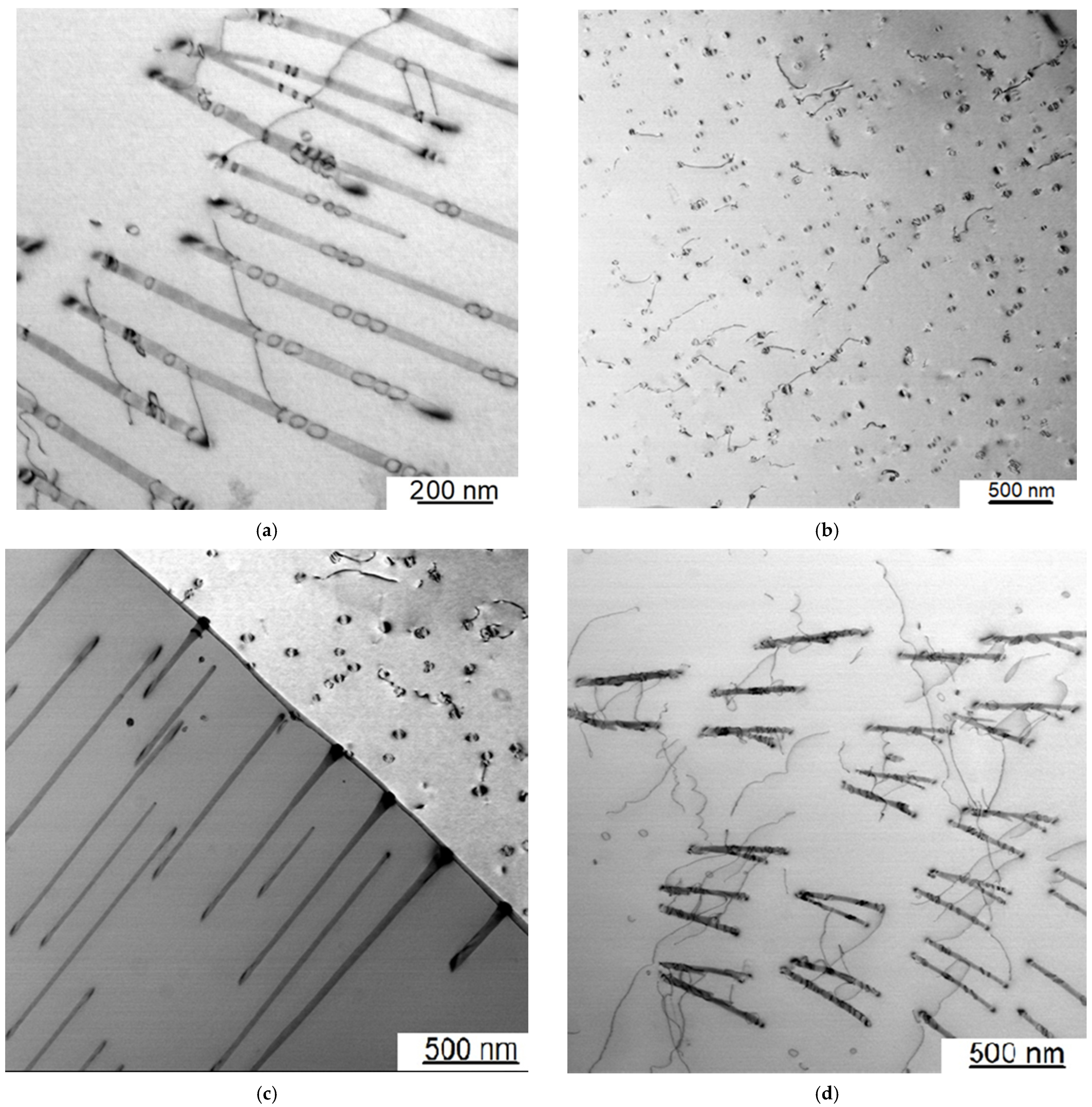Metals 11 01797 g012a
