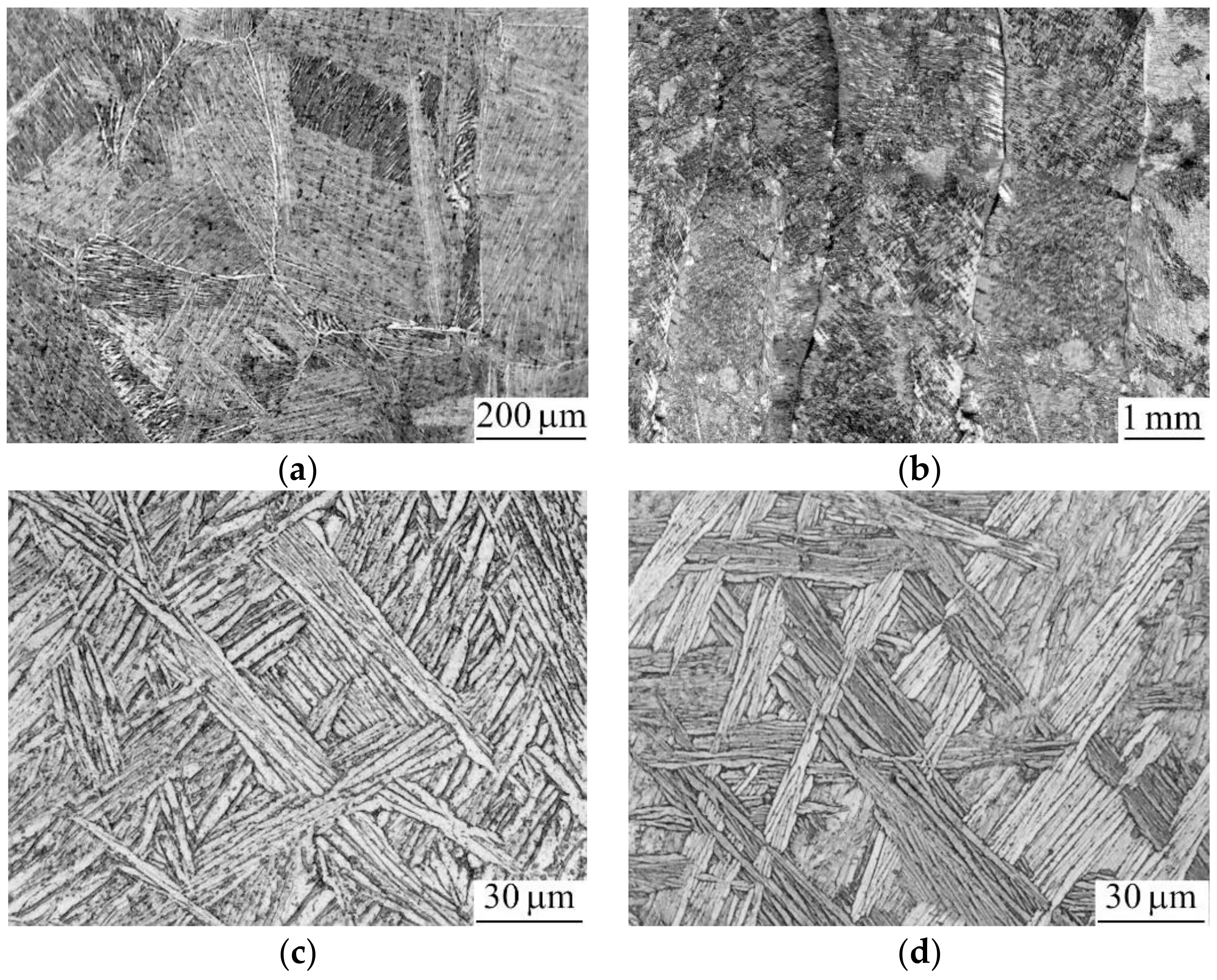 Metals 11 01882 g002