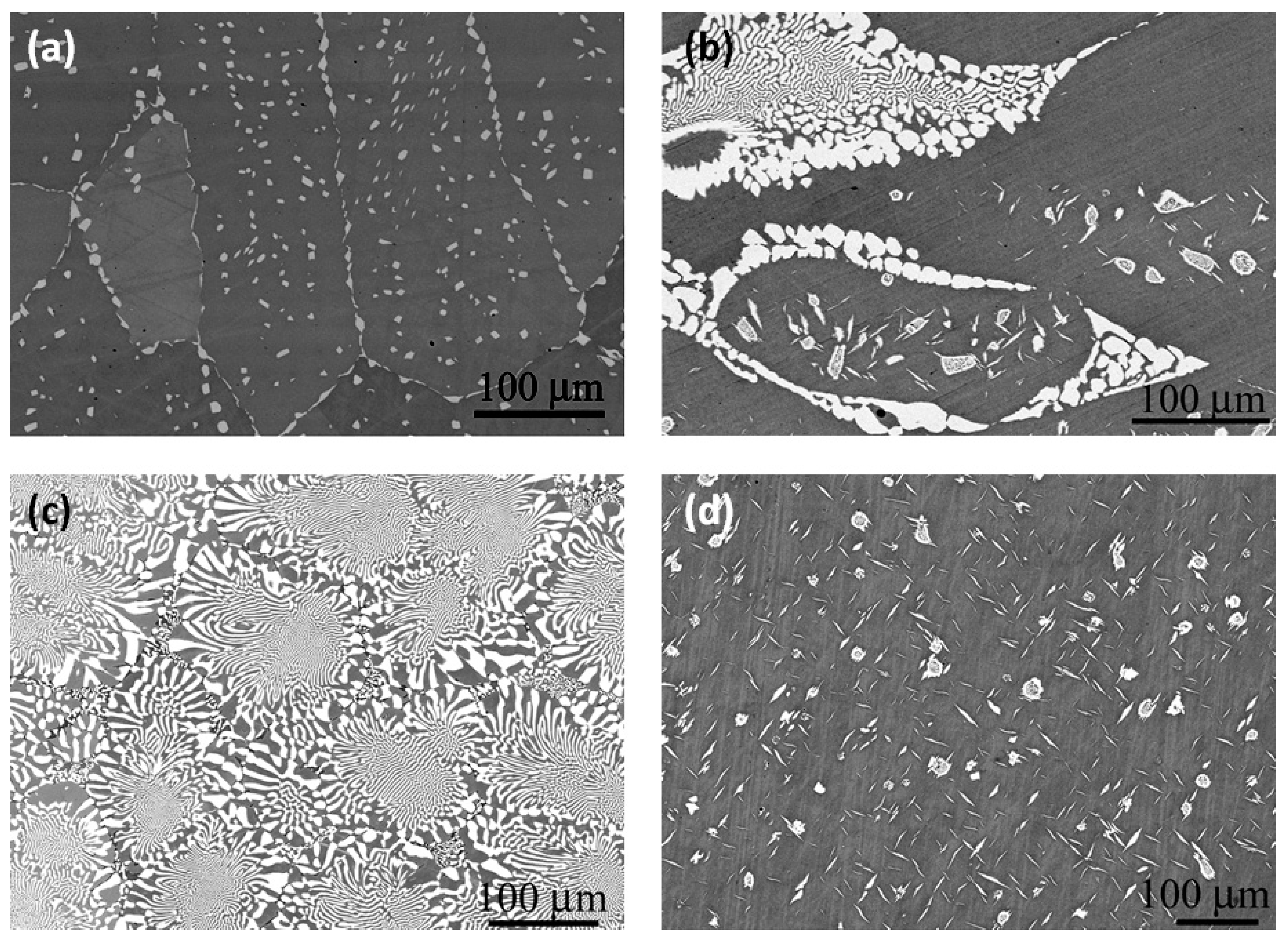 Metals 11 01887 g003