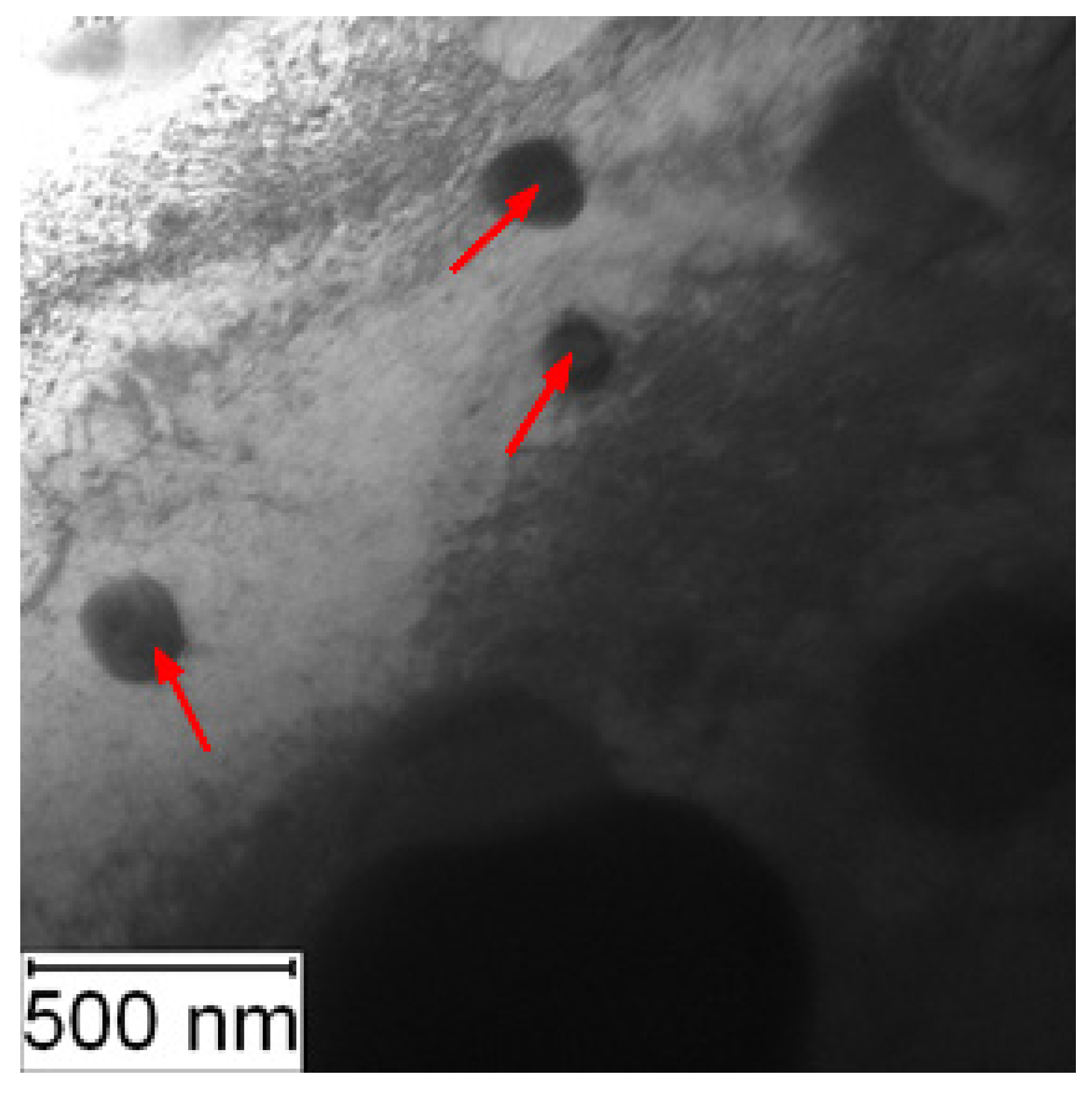 Metals 11 01901 g006