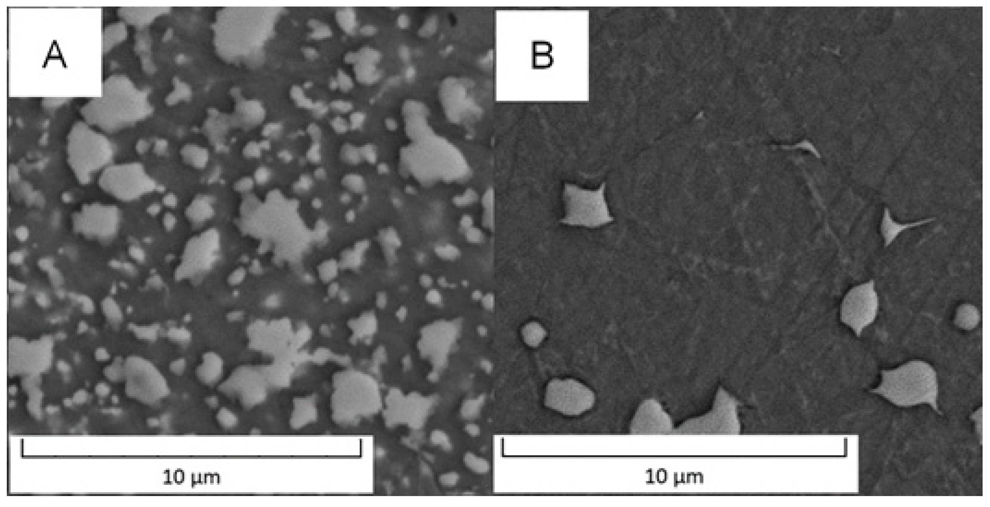 Metals 11 01901 g010