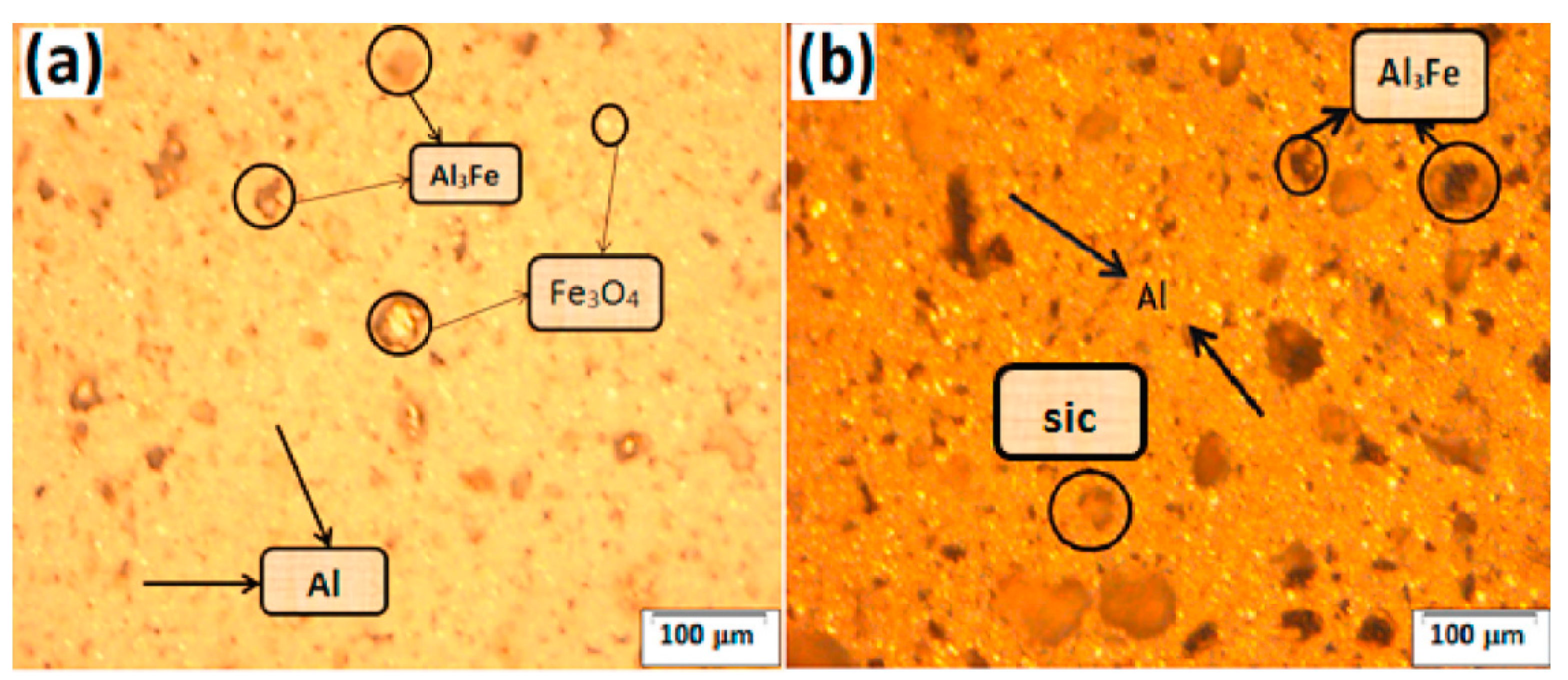 Metals 11 01919 g004