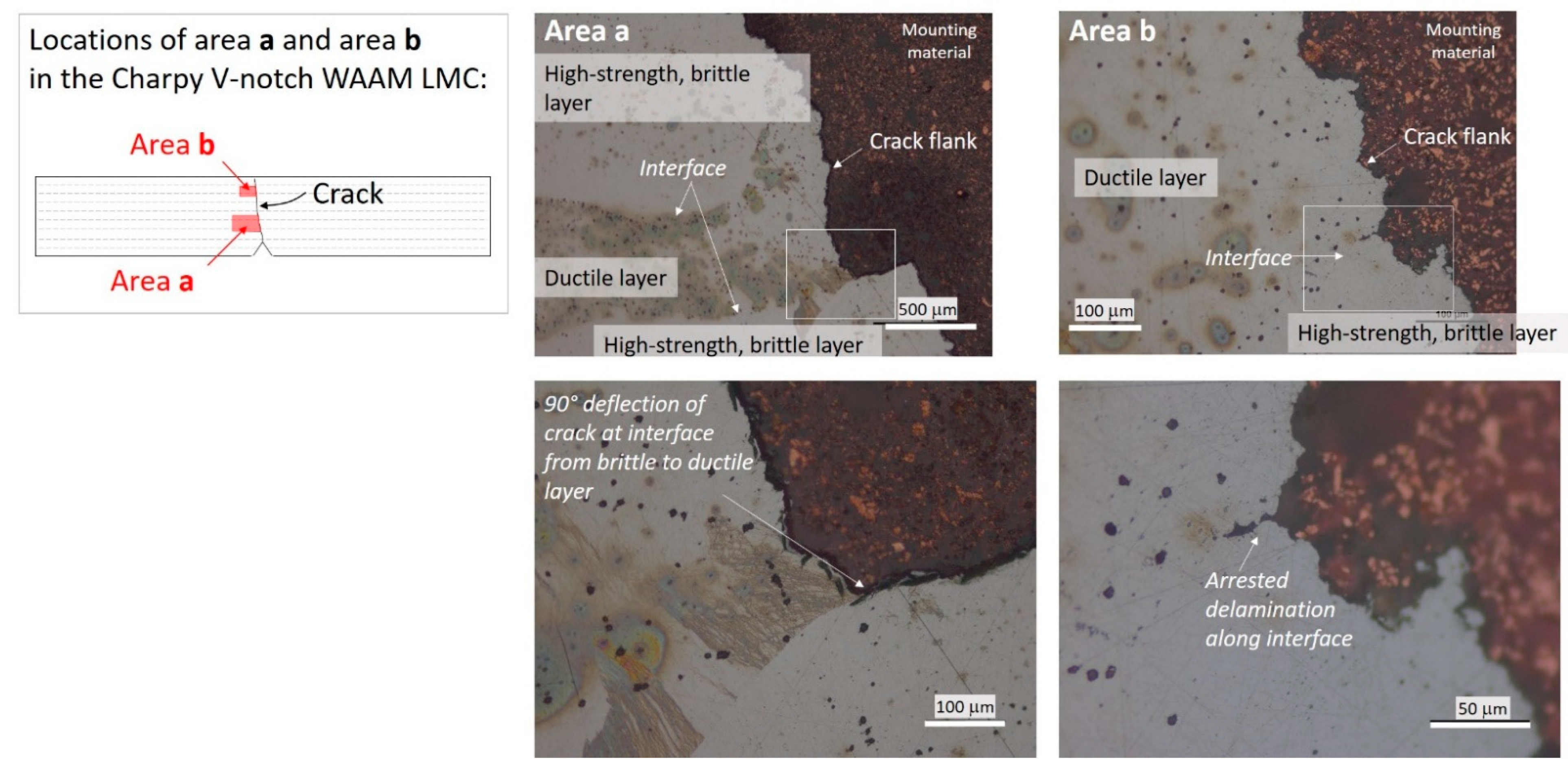 Metals 11 01948 g010