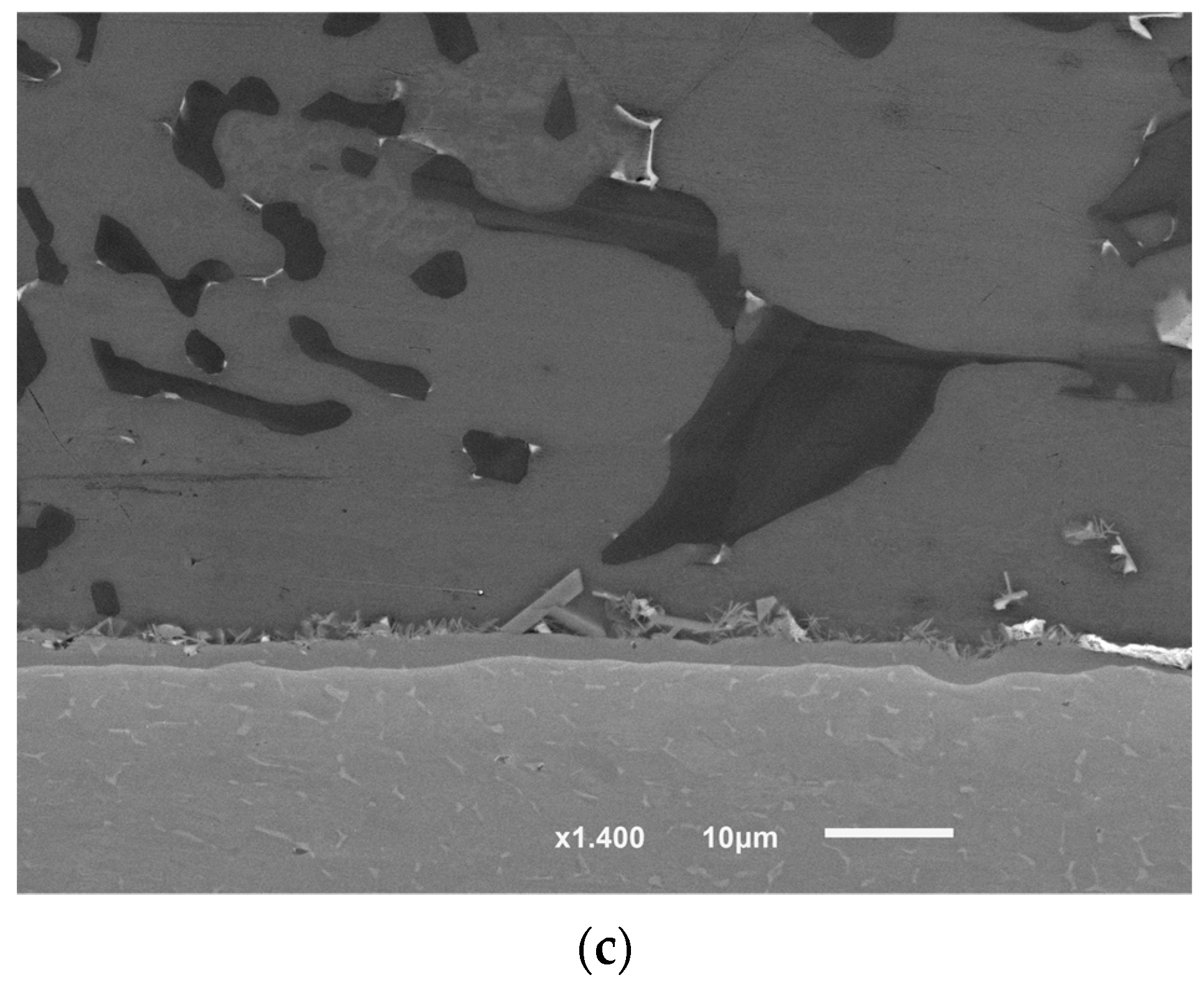 Metals 11 01968 g014b