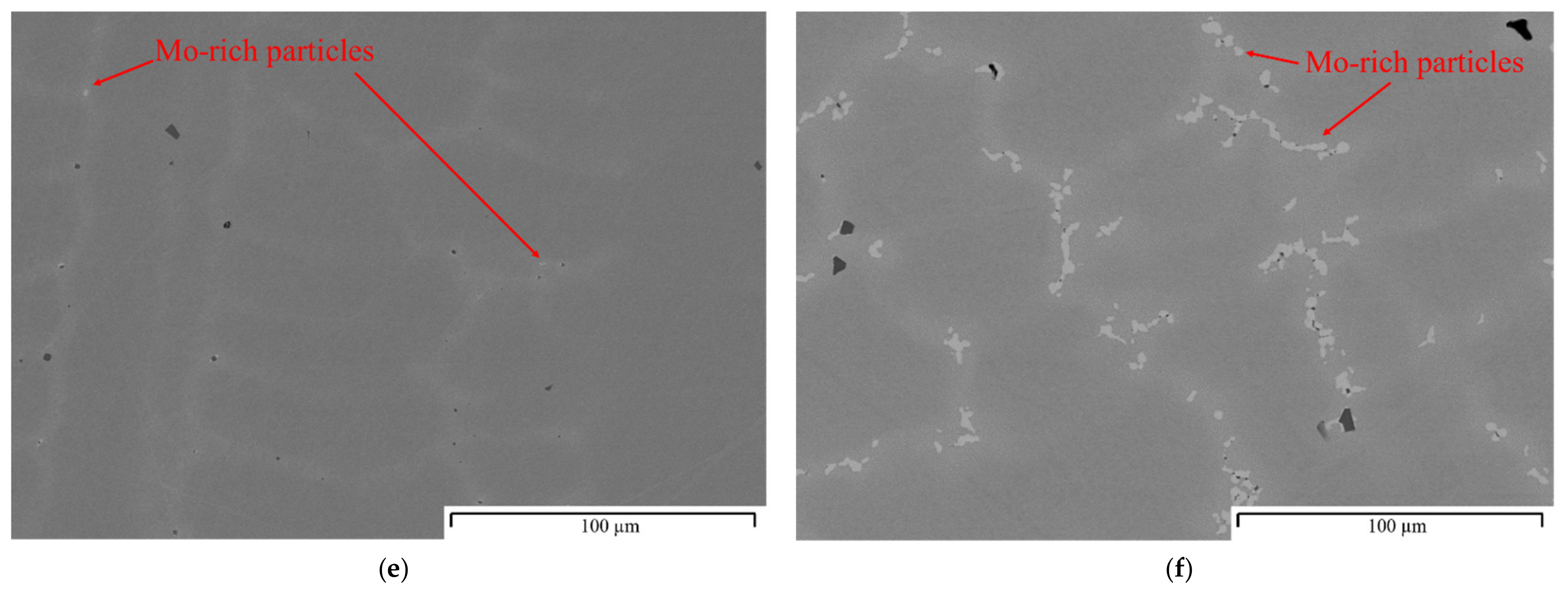 Metals 11 01994 g002b