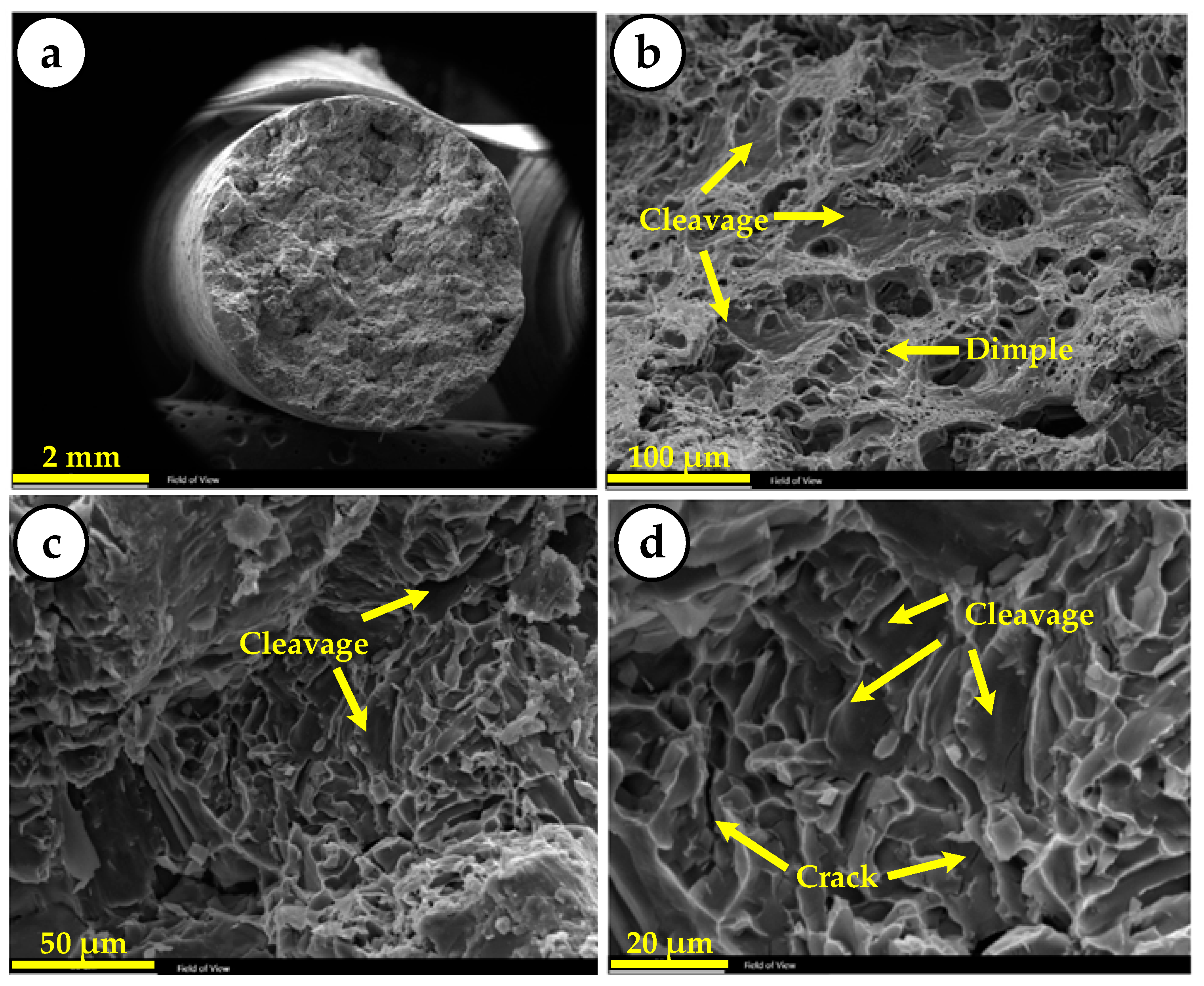Metals 11 02004 g008