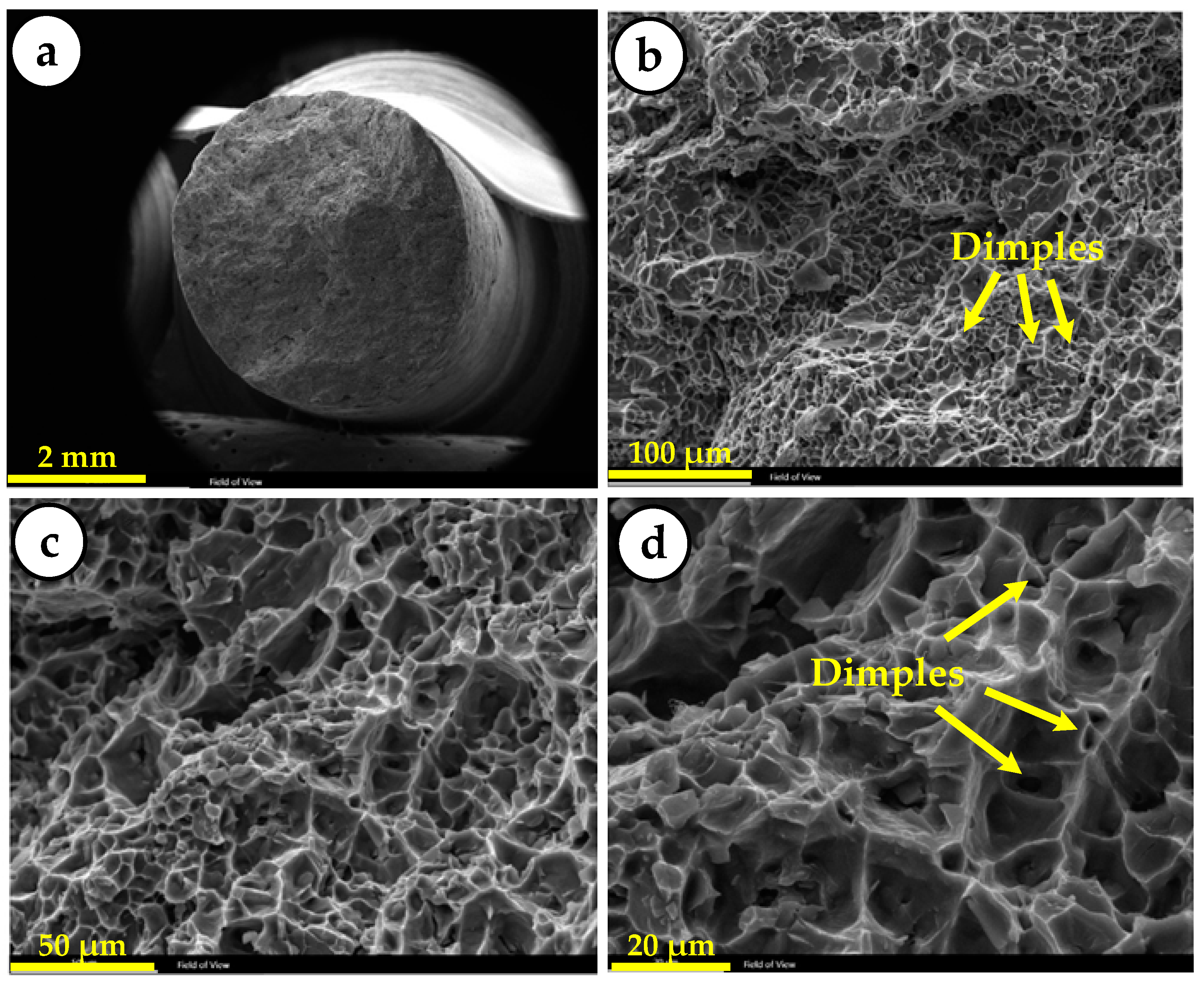Metals 11 02004 g009