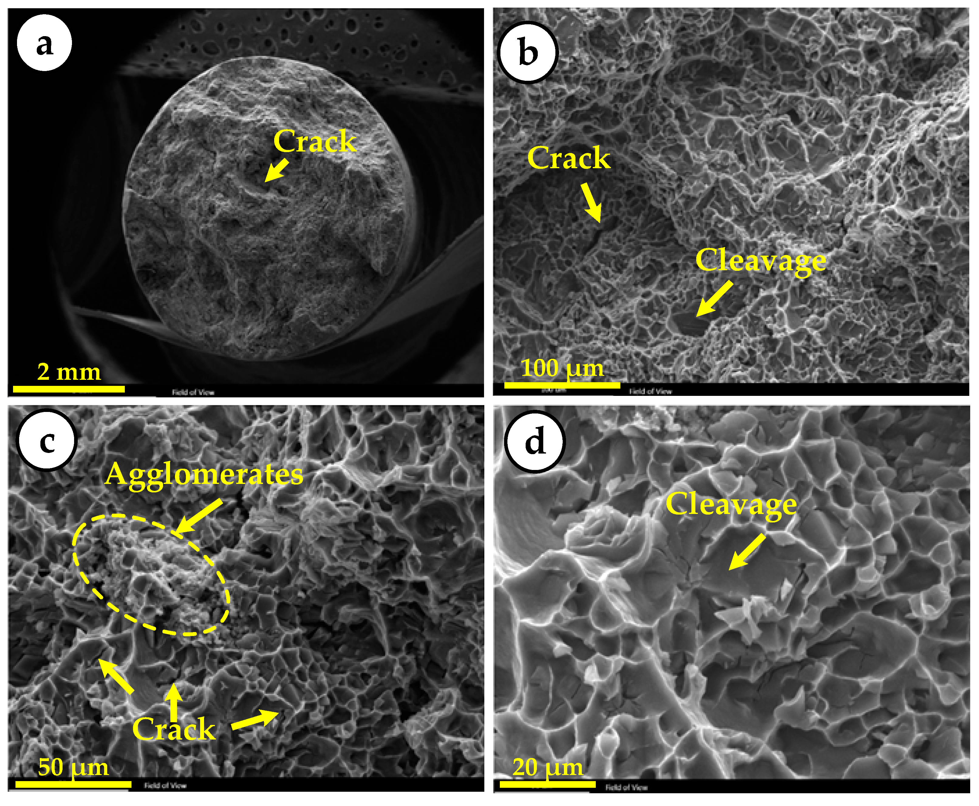 Metals 11 02004 g011