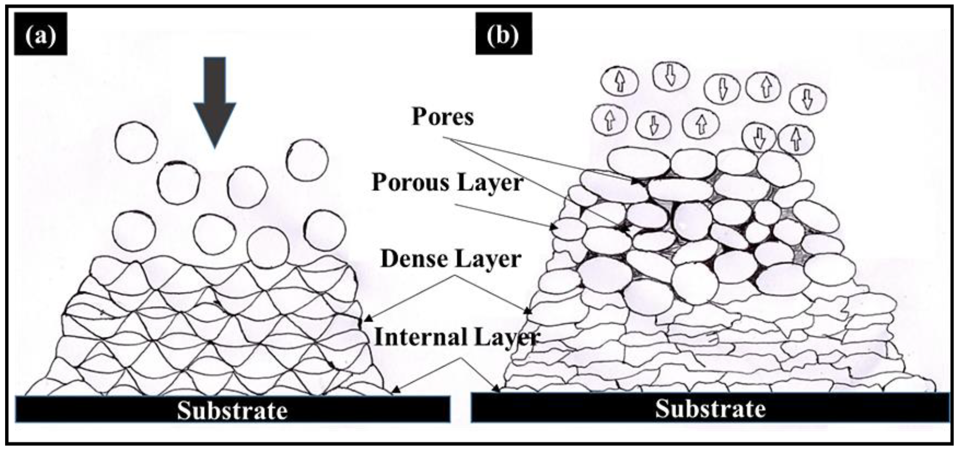 Metals 11 02016 g006