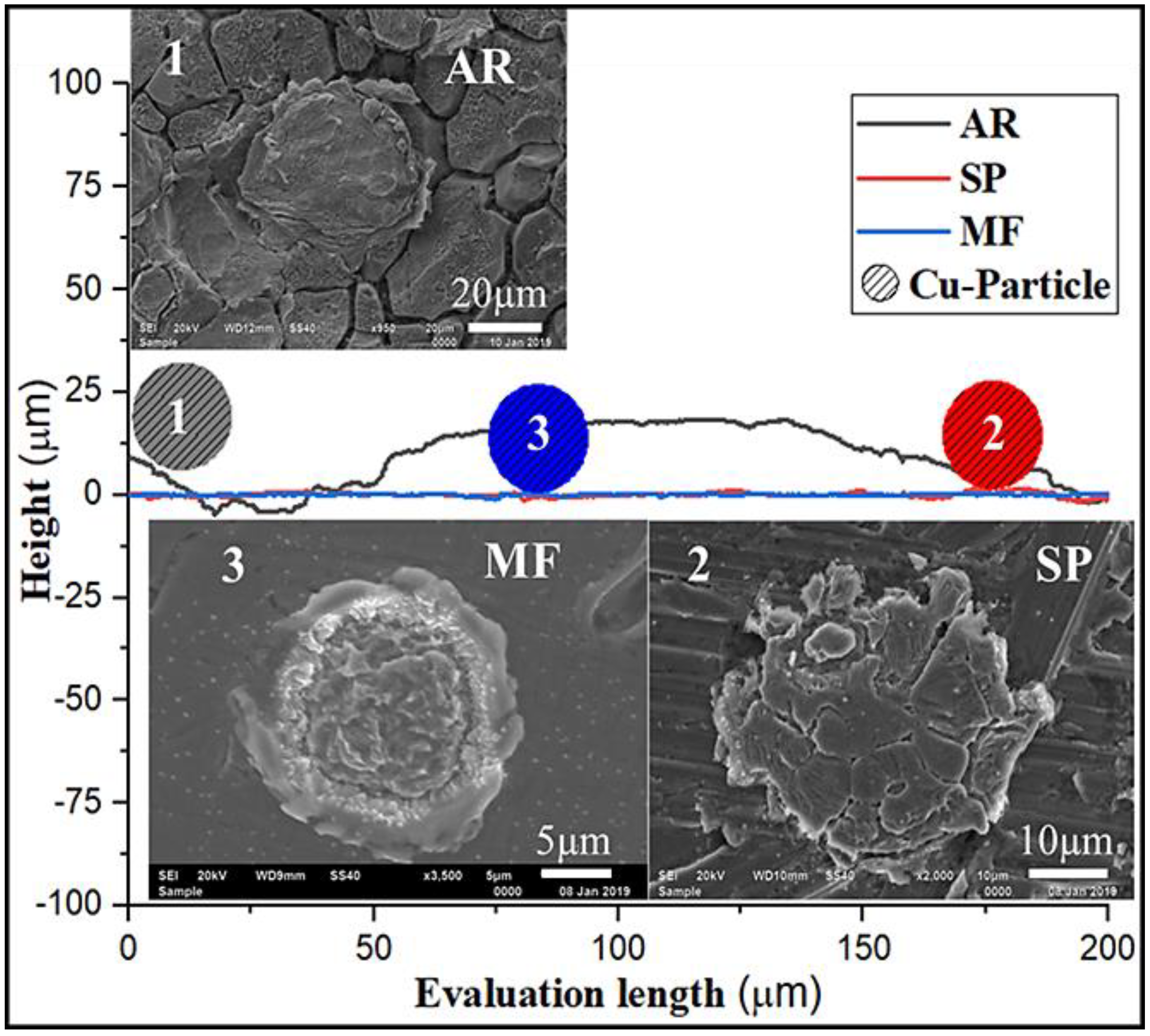Metals 11 02016 g011