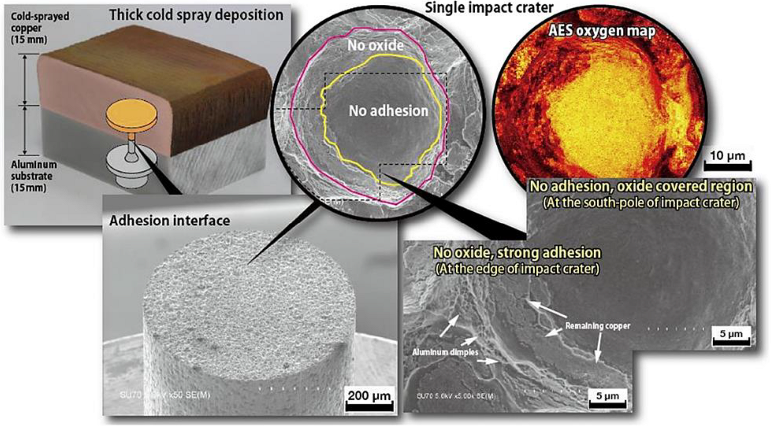 Metals 11 02016 g015