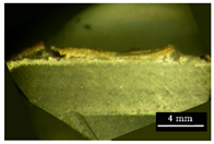 Metals 11 02019 i005