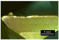 Metals 11 02019 i011