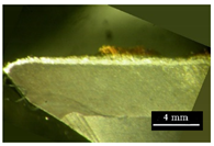 Metals 11 02019 i014