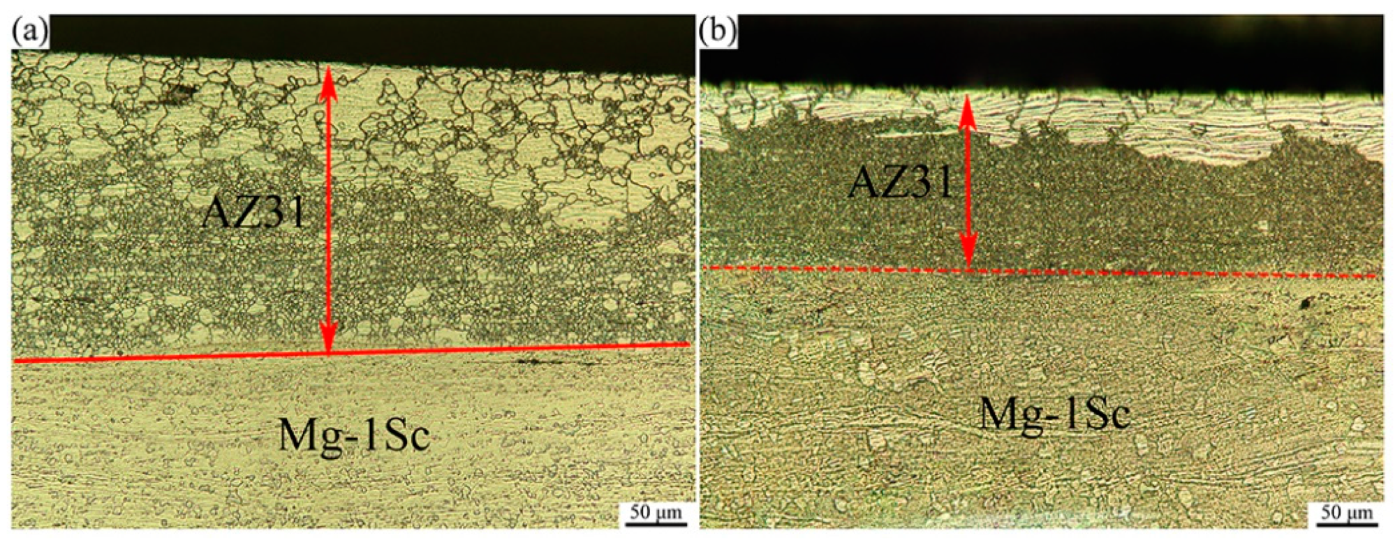 Metals 11 02021 g003