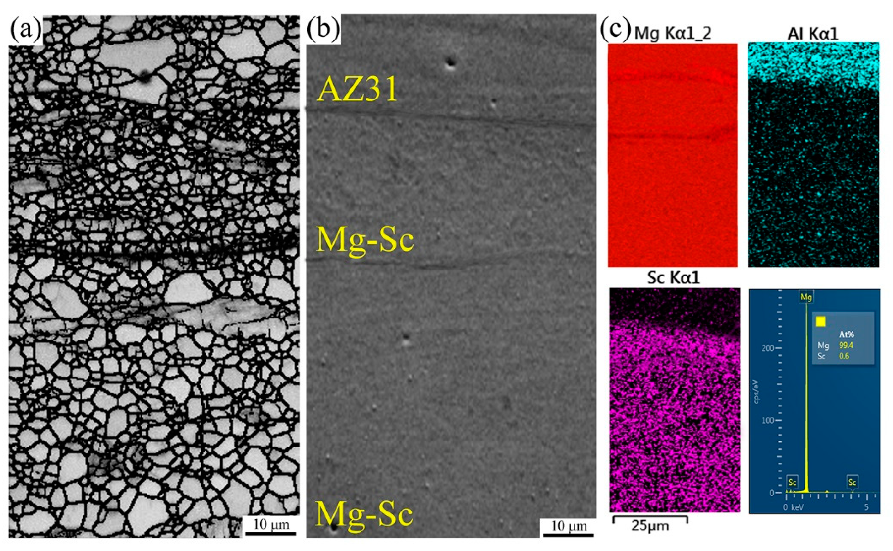 Metals 11 02021 g004
