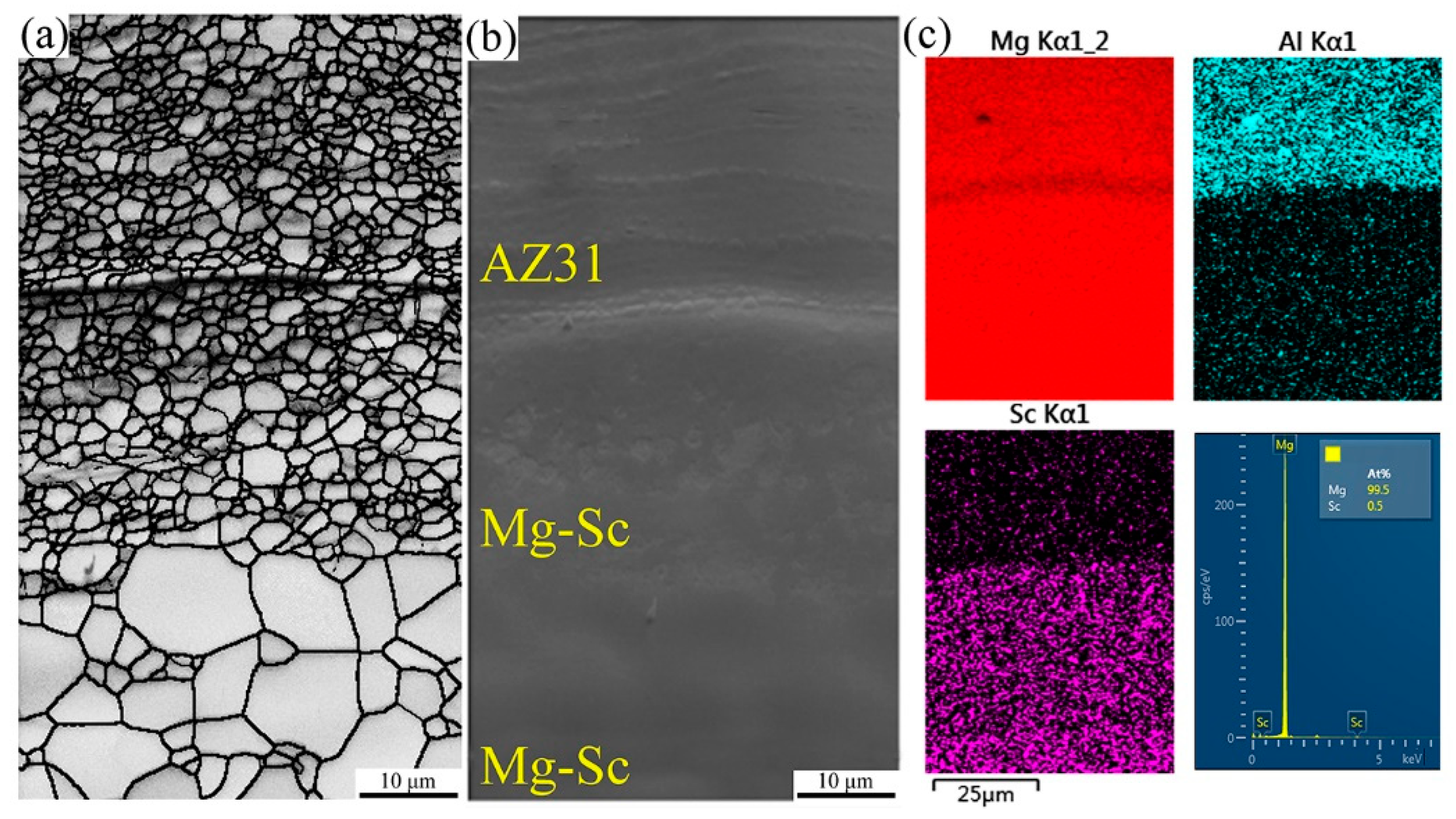 Metals 11 02021 g005