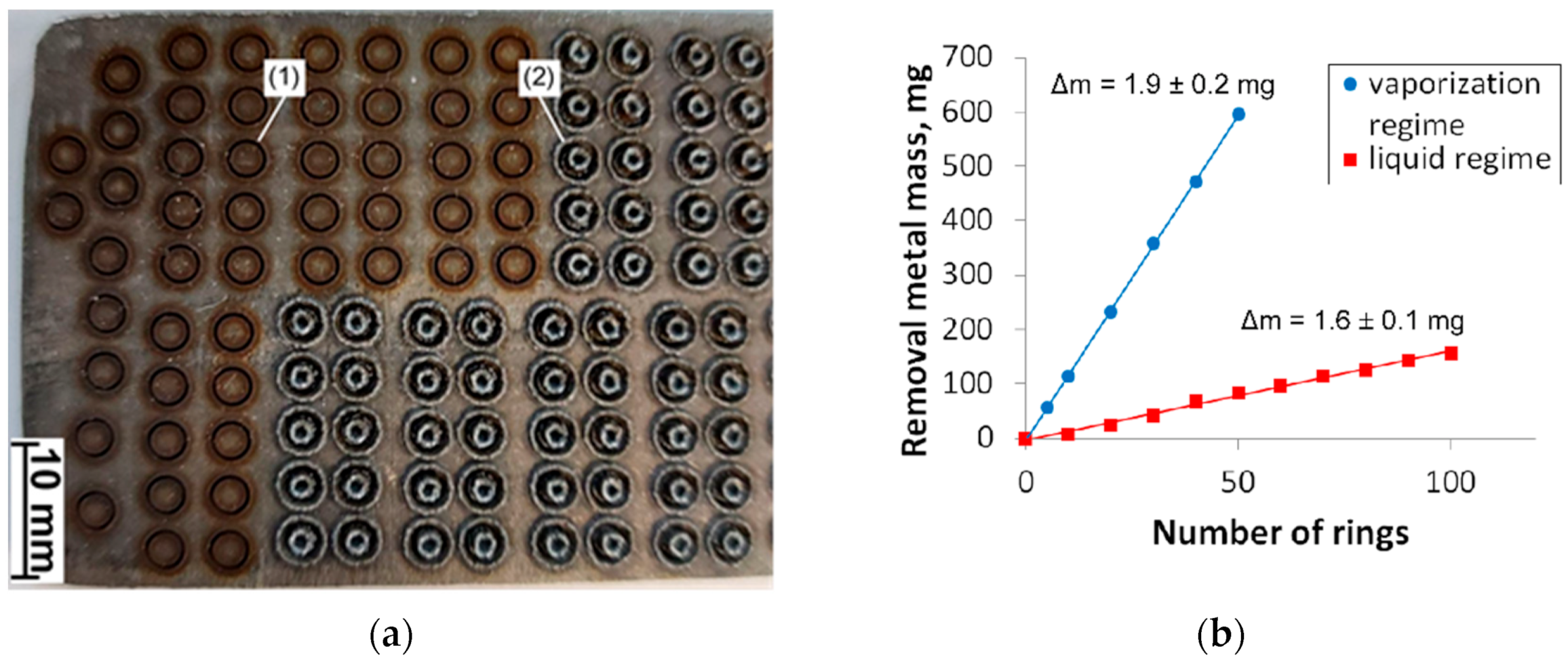 Metals 11 02026 g013 Metals 11 02026 g013
