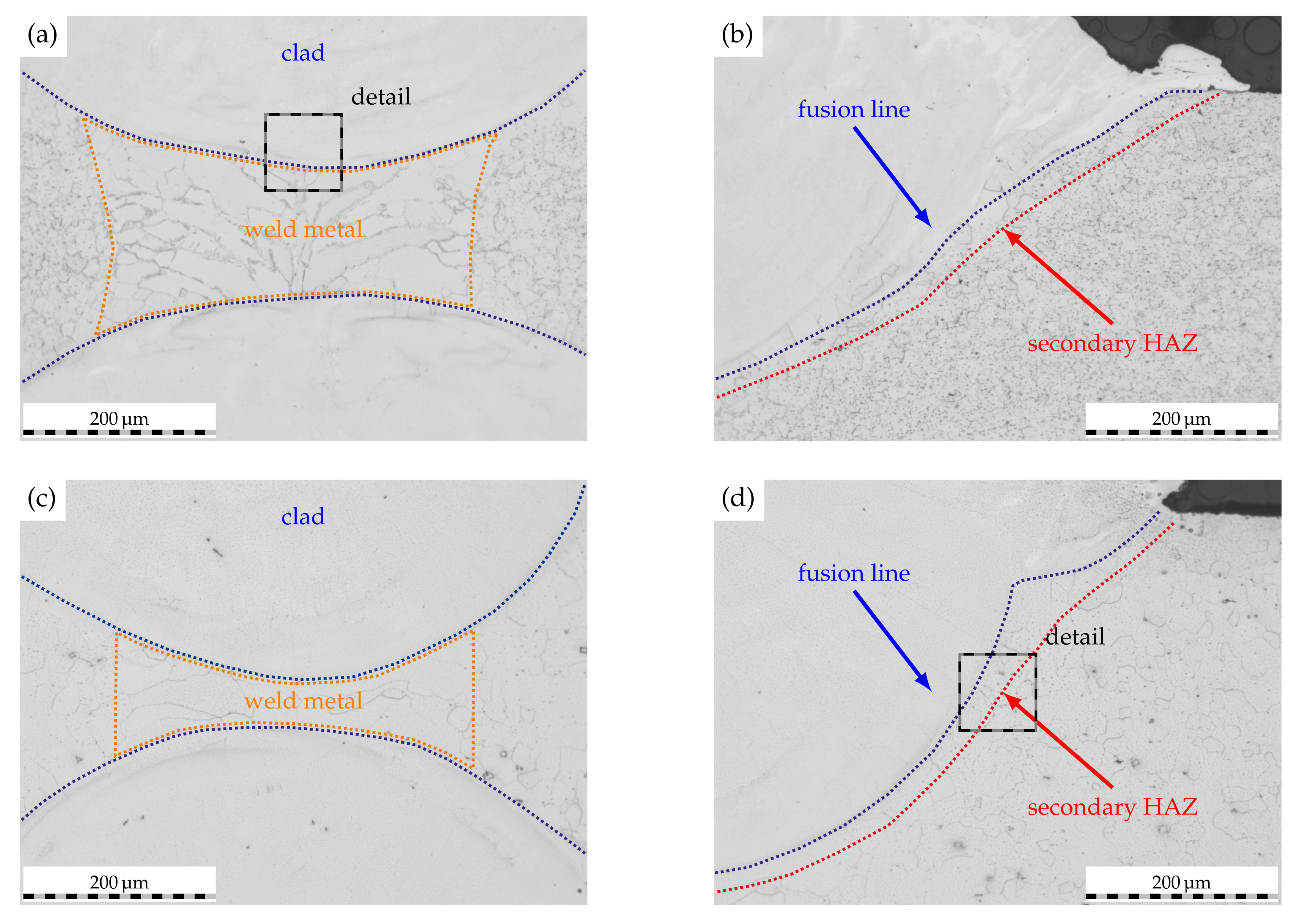 Metals 11 02039 g006