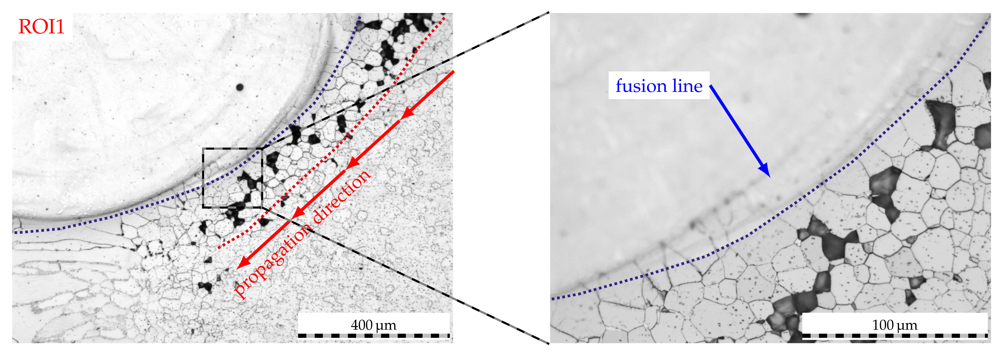 Metals 11 02039 g011