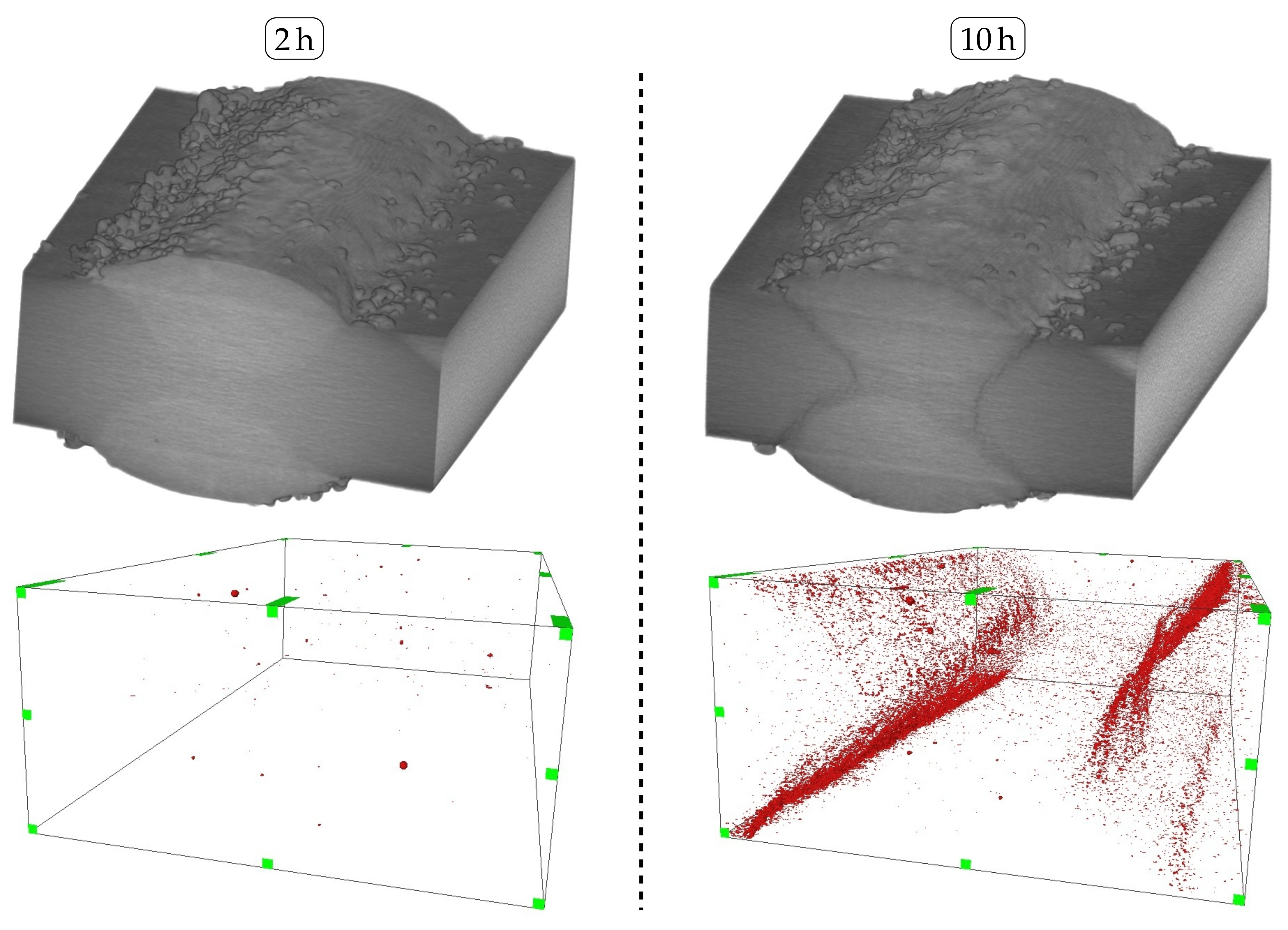 Metals 11 02039 g012